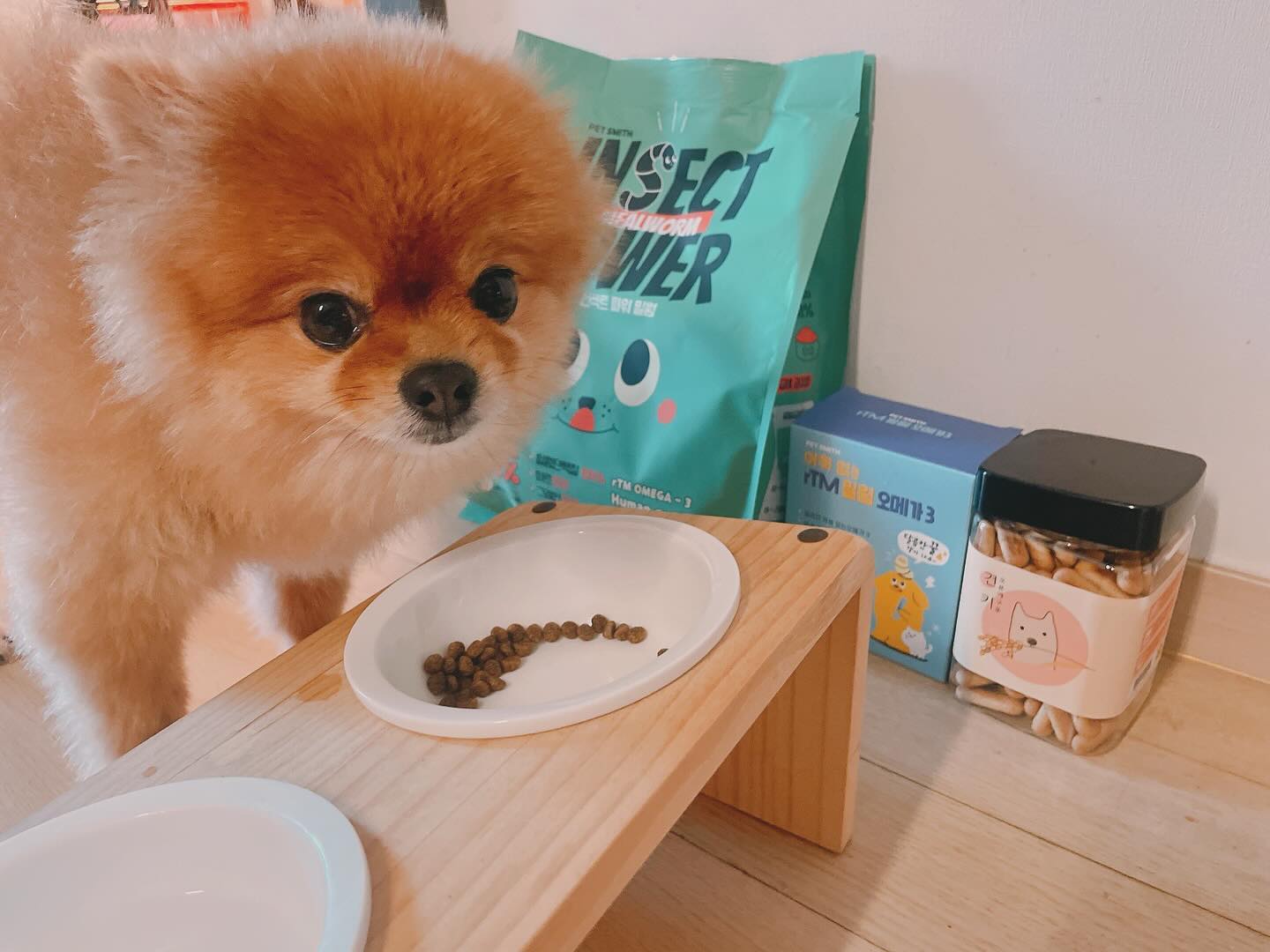 오랜만이야 멍칭구들☘️
오늘은 #펫스미스 에서 포미니에게 
인섹트파워 / rTM 오메가3 /강아지용 견키를 선물해주셨어💛

평소에 긁긁 마니 하고 알러지 증상을 보이는 댕댕이들이 많은데
이런 알러지의 원인이 우리 강아지들이 먹는 사료와 간식에 
들어 있는 단백질과 화합물이 원인이라고 해😢
그런데 펫스미스에서 만드는 사료와 간식들 모두 
육류단백질을 포함하지 않아 알러지 걱정 뚝이라구🤣🤣

그리고 요즈음 이슈되고 있는 살리노마이신 성분이 
우리댕댕이들 사료에 들어있다해서 문제가 많았는데 
펫스미스에서 만든 인섹트파워밀웜에는 들어있지않아 
안심하고 먹일 수 있다구😆

또 보통 사람이나 댕댕이들이 먹는 오메가3는 대부분 
어류에서 추출해서 간혹가다가 잘못 먹으면 비린내가 
나서 당황한 경우가 많은데 펫스미스 rTM 오메가3는 
밀웜에서 오메가를 추출해서 어취냄새 걱정도 없어😊

함께 주신 견키도 오븐에서 구운 밀웜단백빌이 포함한 
비스킷이라 저알러지간식으로 바삭바삭하게 먹일 수 있어! 

요로케 펫스미스 인섹트파워 / rTM 오메가3 /강아지용 견키로 
알러지걱정 없는 건강한 사료, 영양제, 간식까지 한 번에 
챙길 수 있으니 많이들 추천해❤️

🎁 petsmith.official 

#협찬 #무항생제 #곤충사료 #살리노마이신프리 #안전한국산사료