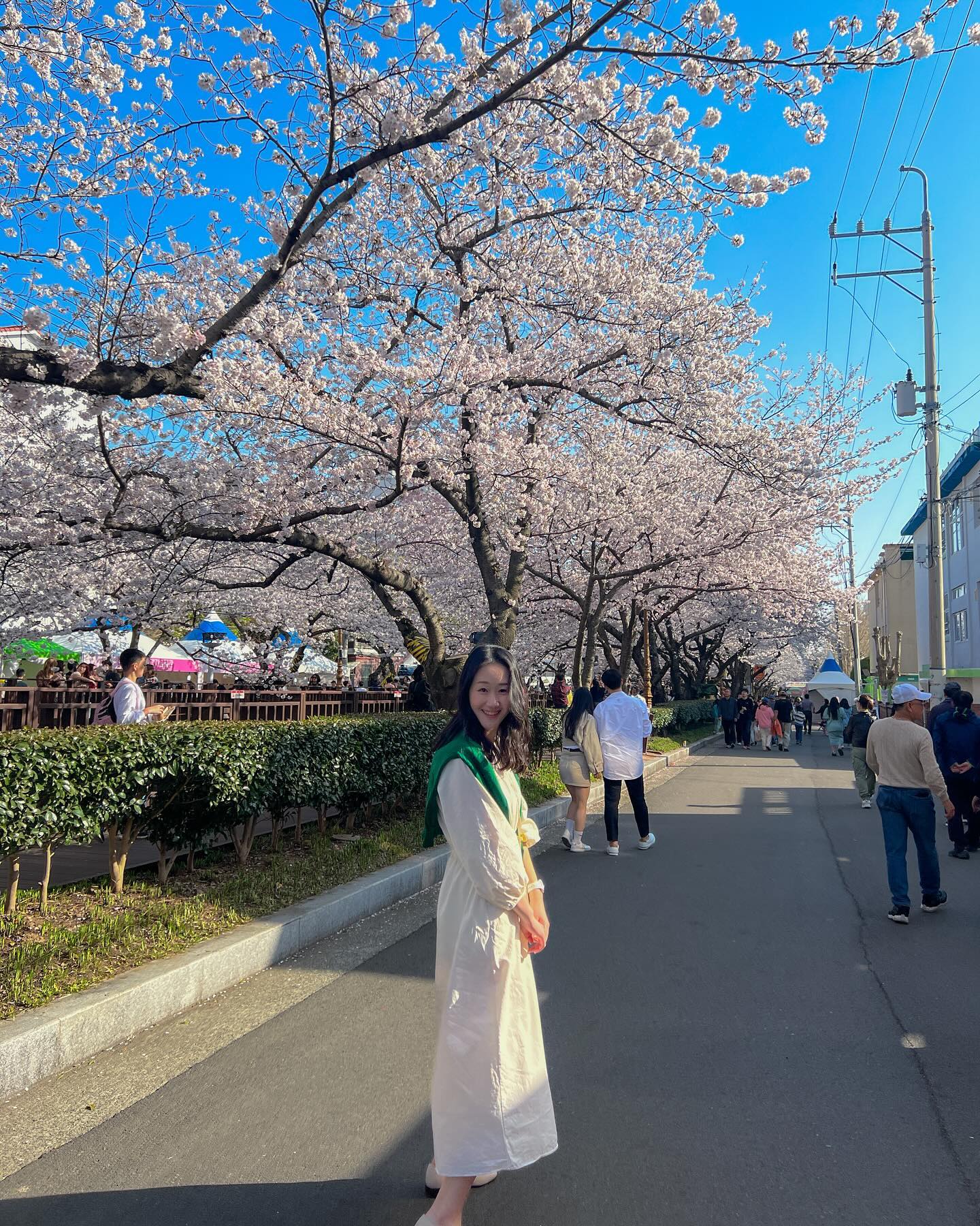 오랜만에 내 사진도 좀  올려보쟈구 🌸 📸

신난 라윤이 어무니 ෆ.̮ෆ 
작년 벚꽃시즌에는 조리원에 있었는데 
올해 우리 가족 다같이 벚꽃보러가서 넘 좋았땀 💗

#20240401 #진해군항제 #진해여좌천로망스다리 #로망스다리