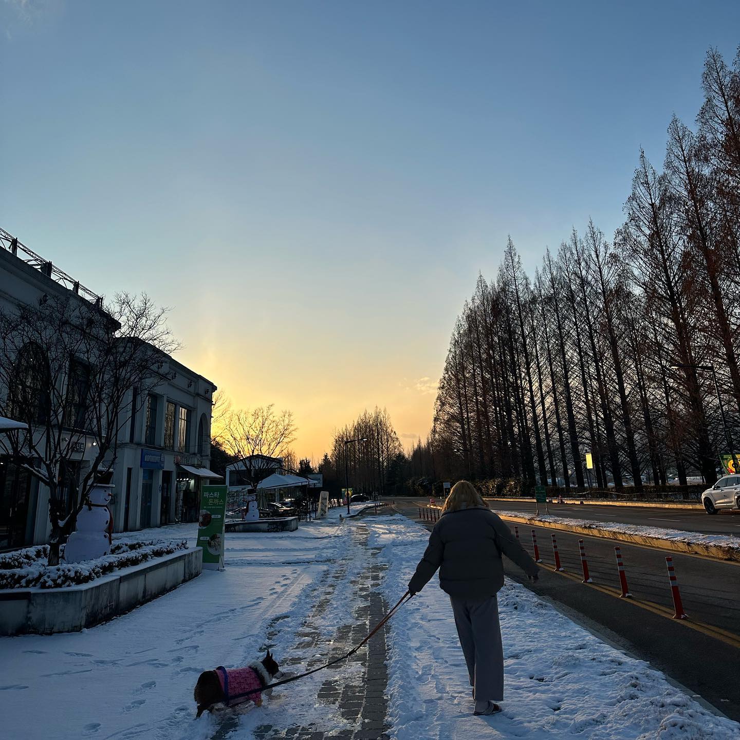 231221 첫 담양 앙글이와🐶
다른 나라에 온 것 같았고, 너무 행복💕