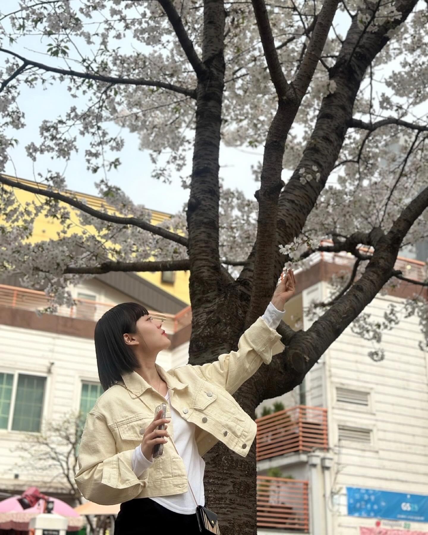 봄🌸🩷