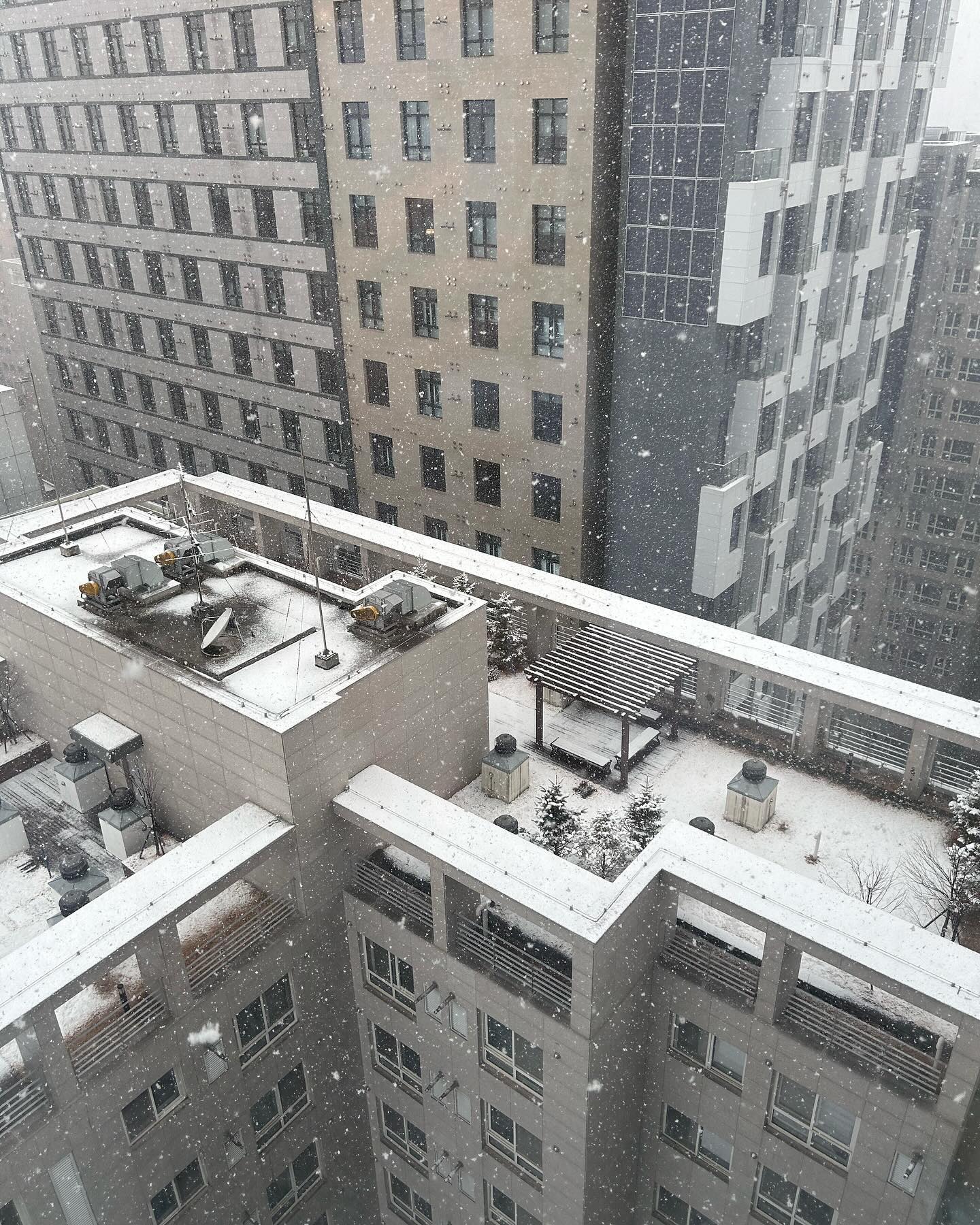 커튼 열어봤더니......
#펑펑눈이옵니다 
#하늘에서눈이옵니다 

진짜 펑펑 내린다🌨️🌨️☃️