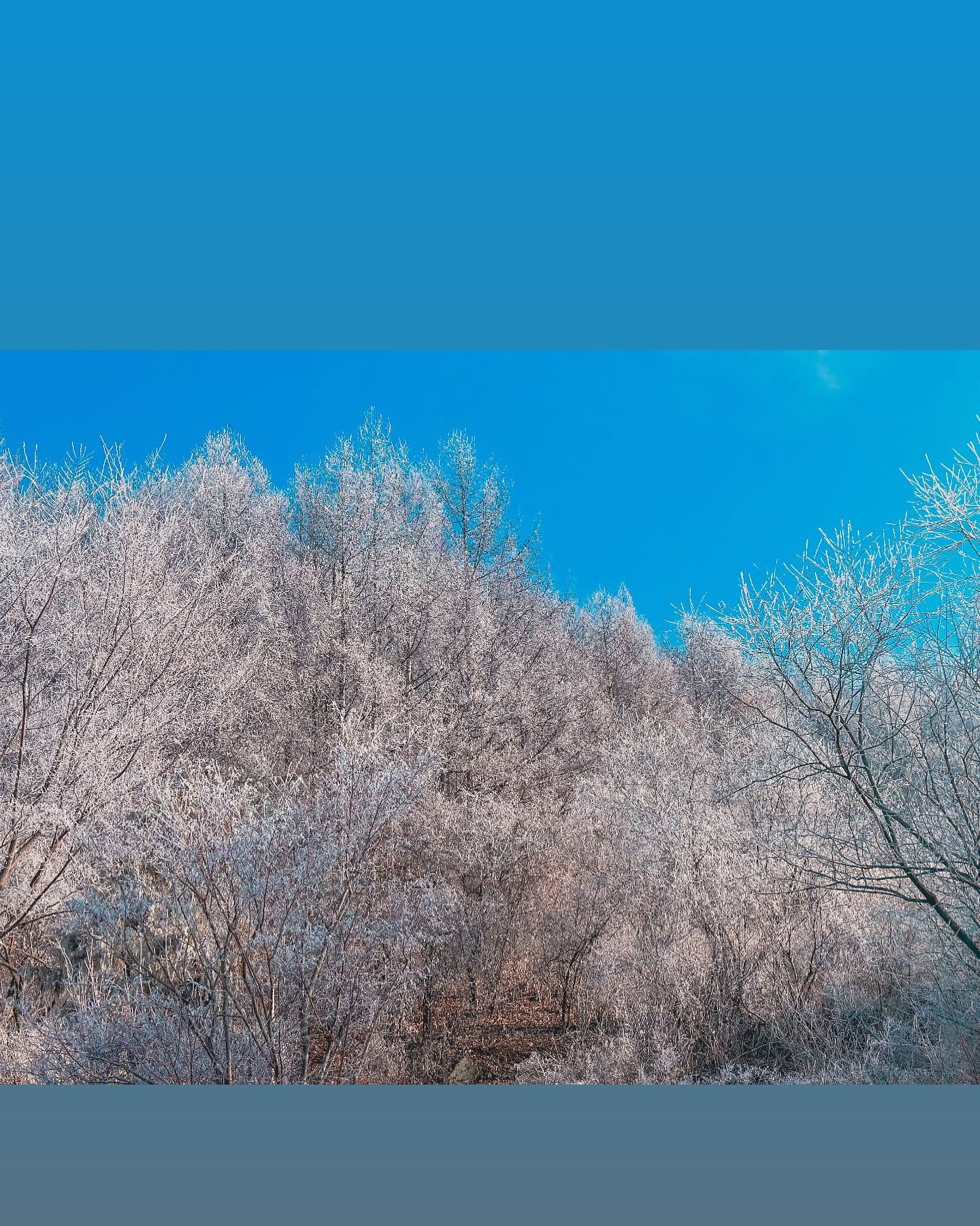 #오늘
우리 도동이들 드뎌 집에옴.선발전 선발되고 메달따갖고 왔는데 기특해죽겠음.역시 최고👍👍👍👍👍선수로 키울건 아니고 단지 퇴근시간동안 학교에서 탁구치면서 취미생활로 하라고 들여보냈는데 잘치니 넘 기특. 탁구하면서 도동이들 자신감도 넘쳐나고 자존감도 높아지고..독립심도 강해지고…탁구치면서 뭐든 다 잘할거 같고 겁이 안난다는 도동이들❤️ 멋있어👏👏👏👏