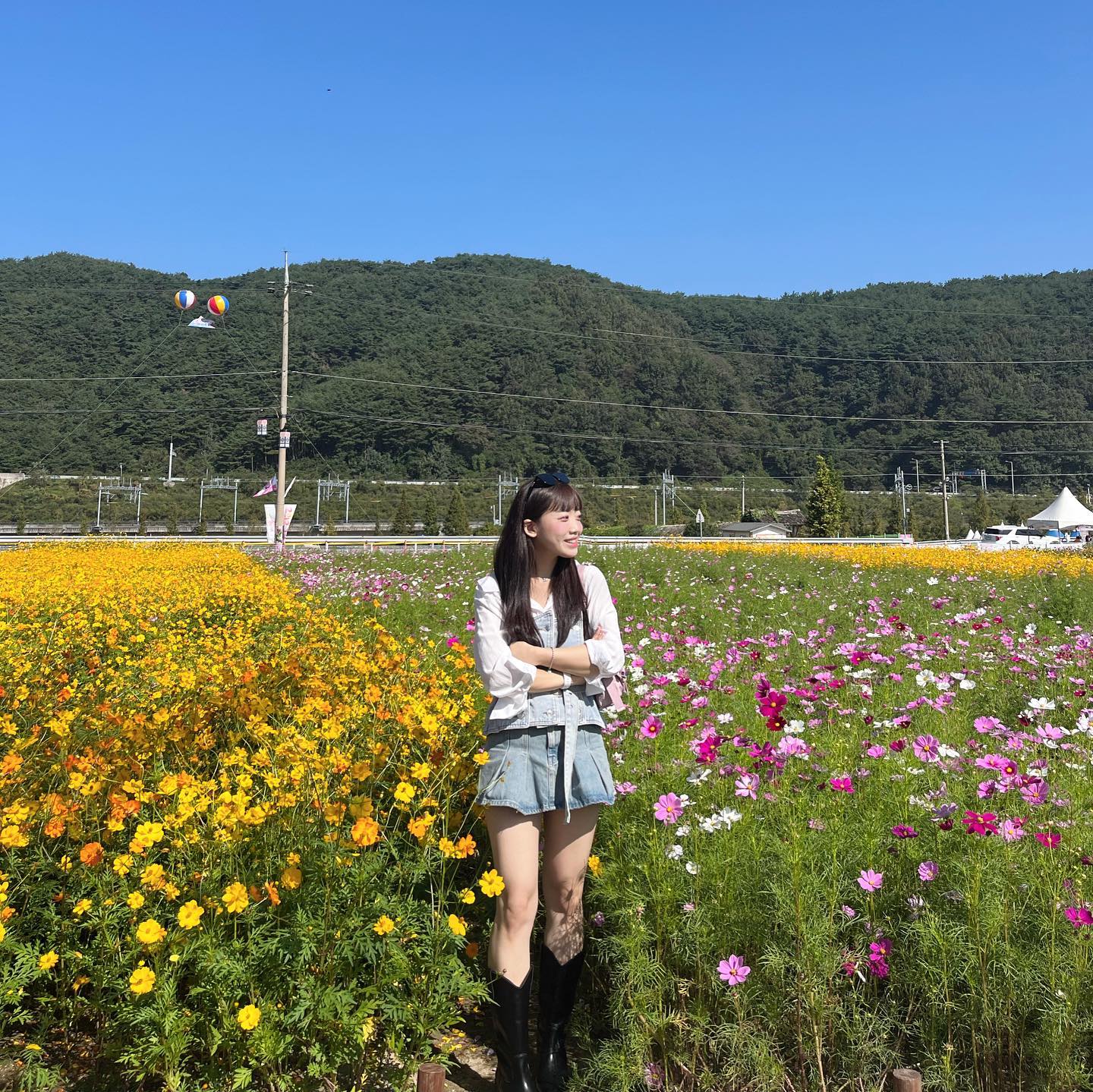 예쁜 꽃을보면 기분이 조크든요〰️🌼🌸☁️🩷🤍