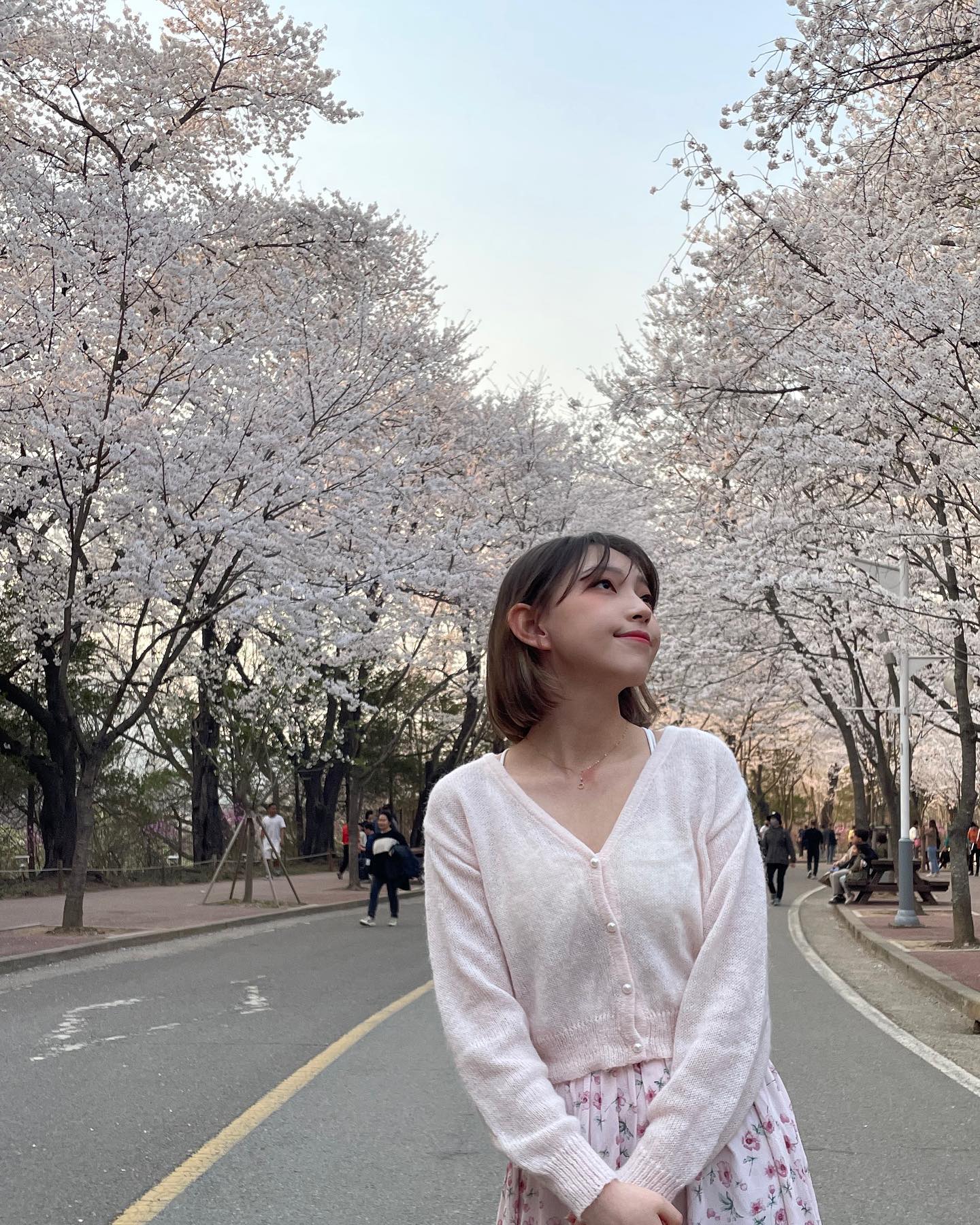 올해 벚꽃막차🌸