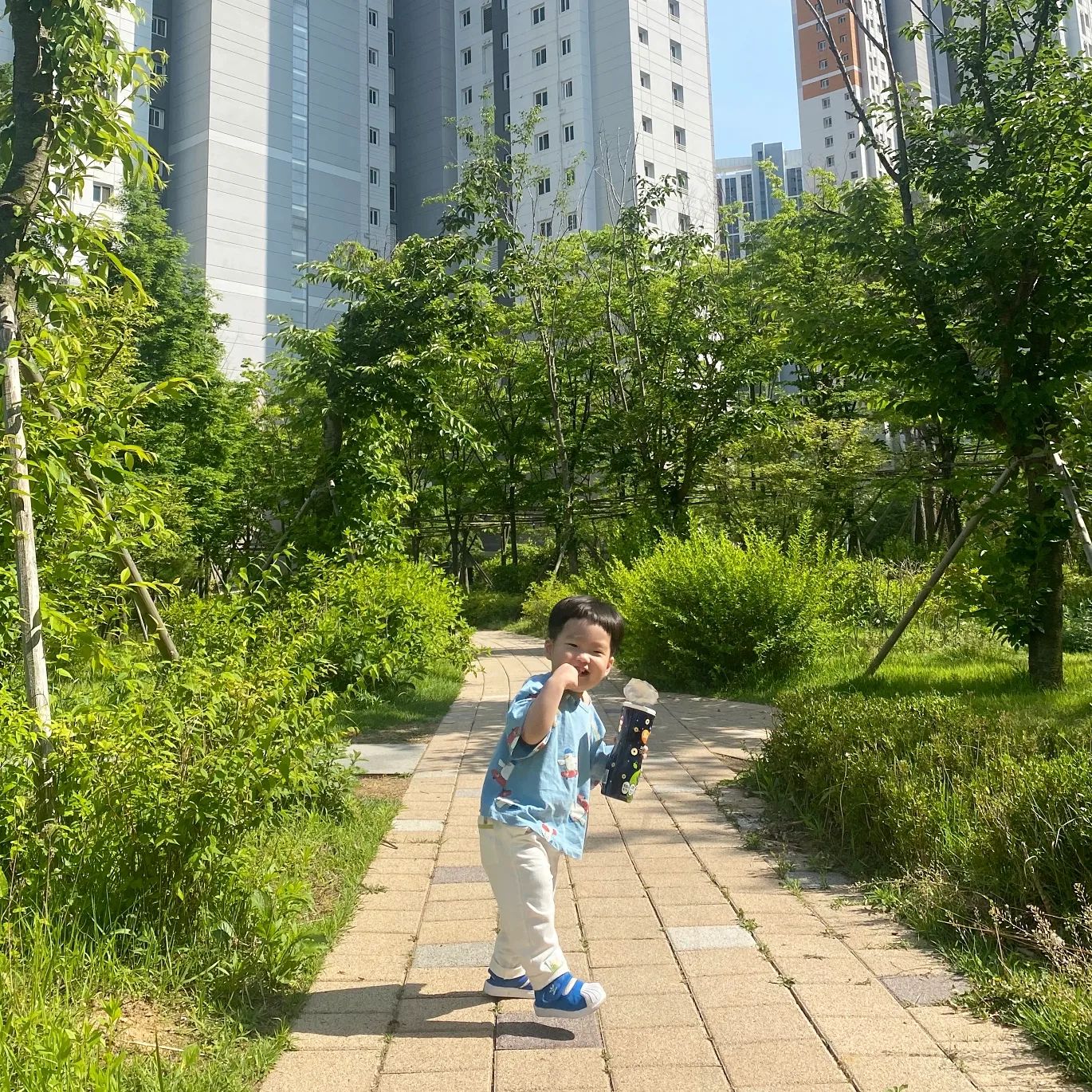 계속 아프더니 큰거 같고 땡깡이 늘었다 .. 🥹 
#567일 #18개월아기 #흰소띠아가 #소띠아기 #하원후일상 #아빠랑놀기 #장꾸아들 #근황 #성오의기록