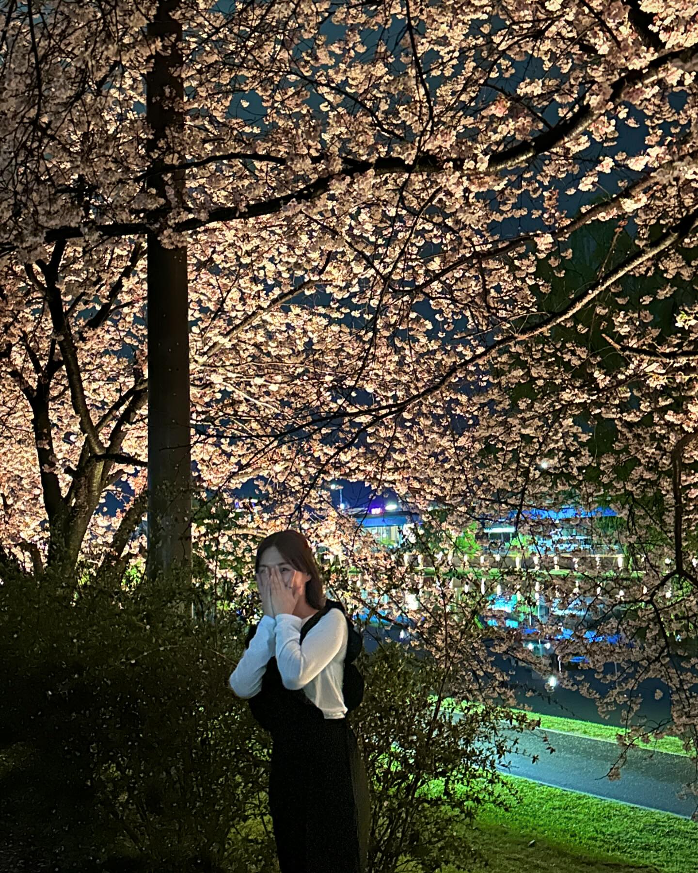 우리도 벚꽃 봤ㄸㅏ🌸🩷