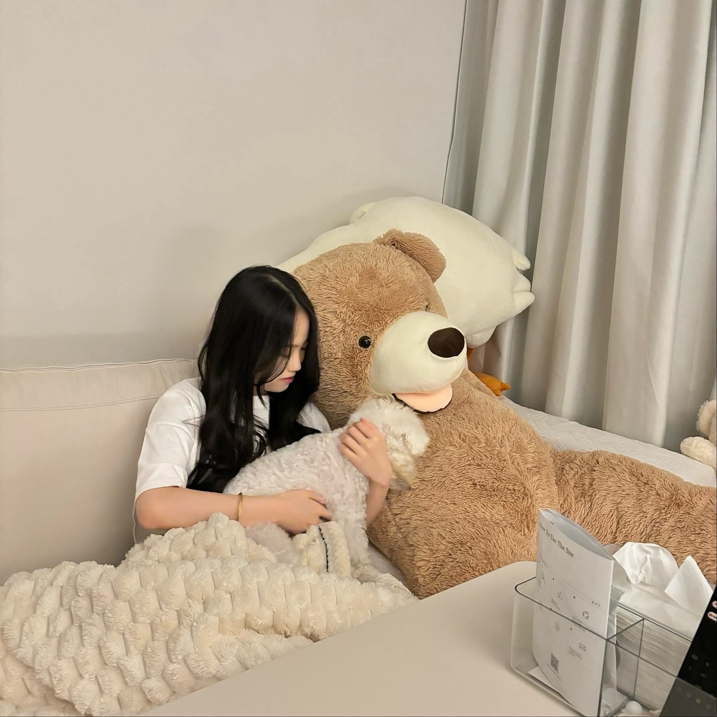 콘텐츠