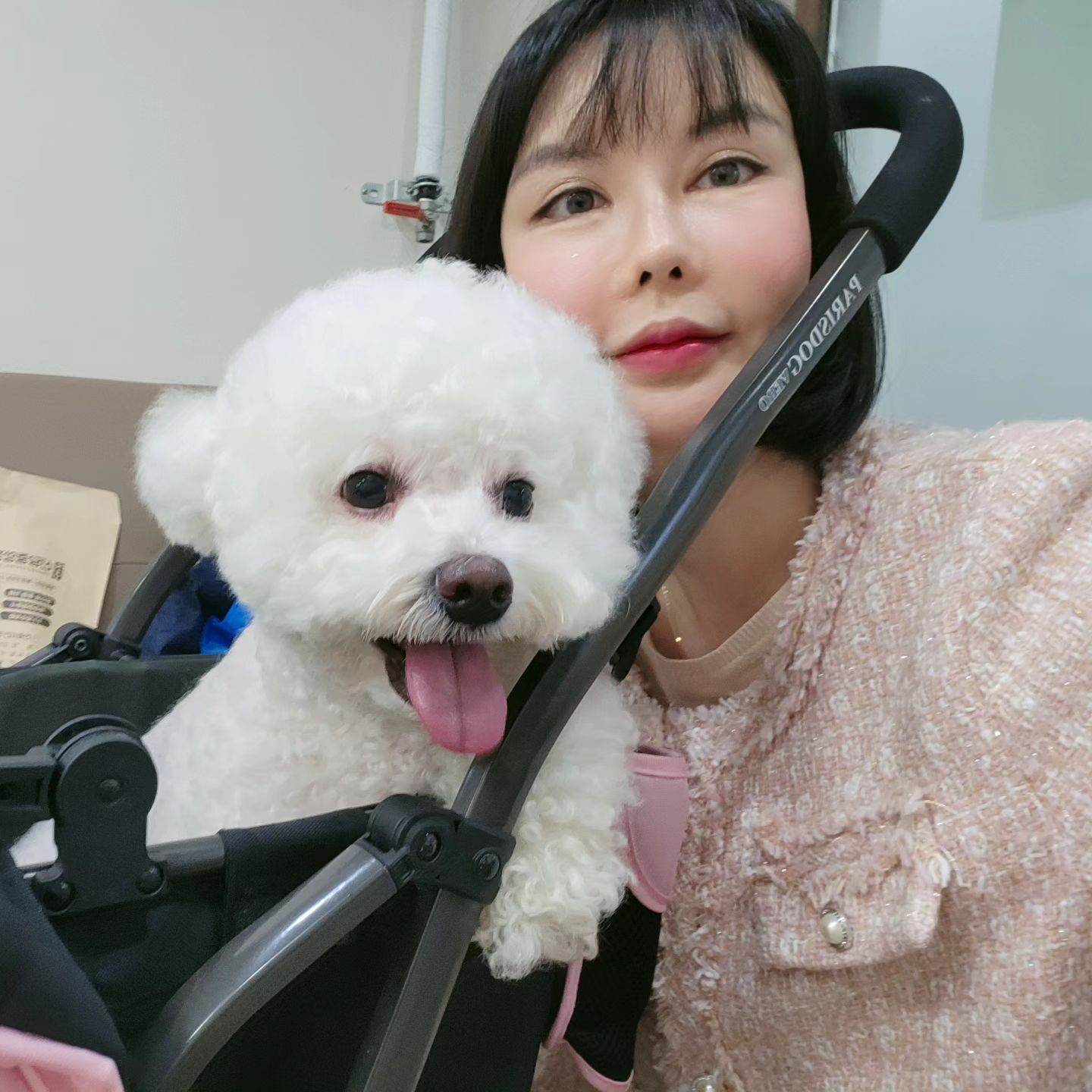 유기견없는 세상이 되길♡