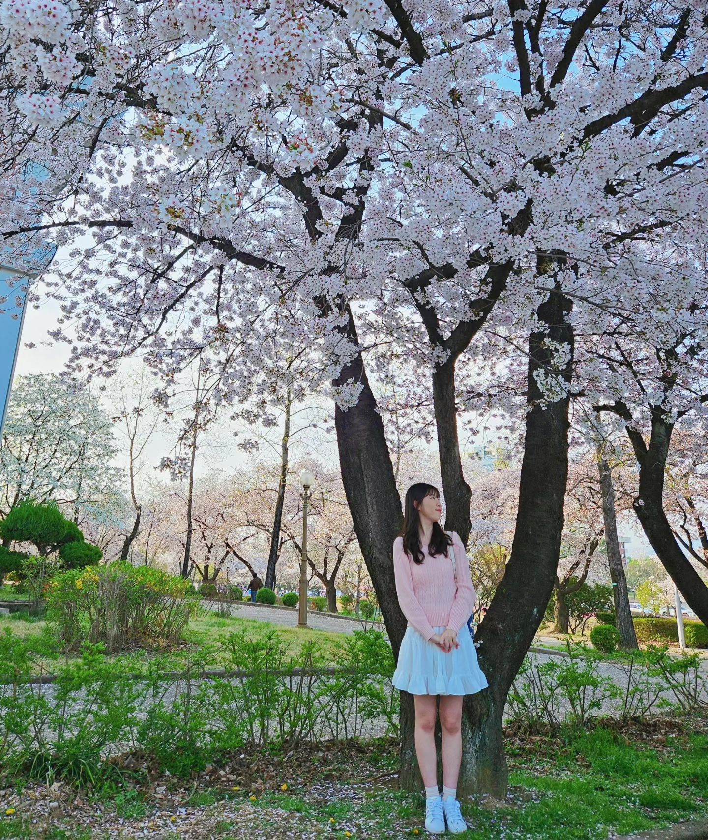 벚꽃은 이미 다 졌지만.. 피드에나마 남겨두기🌸
.
.
.
.
.
.
.
.
.
.
#벚꽃 #벚꽃구경 #daily #일상 #spring #꽃구경 #봄코디 #오늘뭐입지 #dailylook #fashion #패션 #소통 #인친 #선팔환영 #영남대 #좋아요반사 #좋반