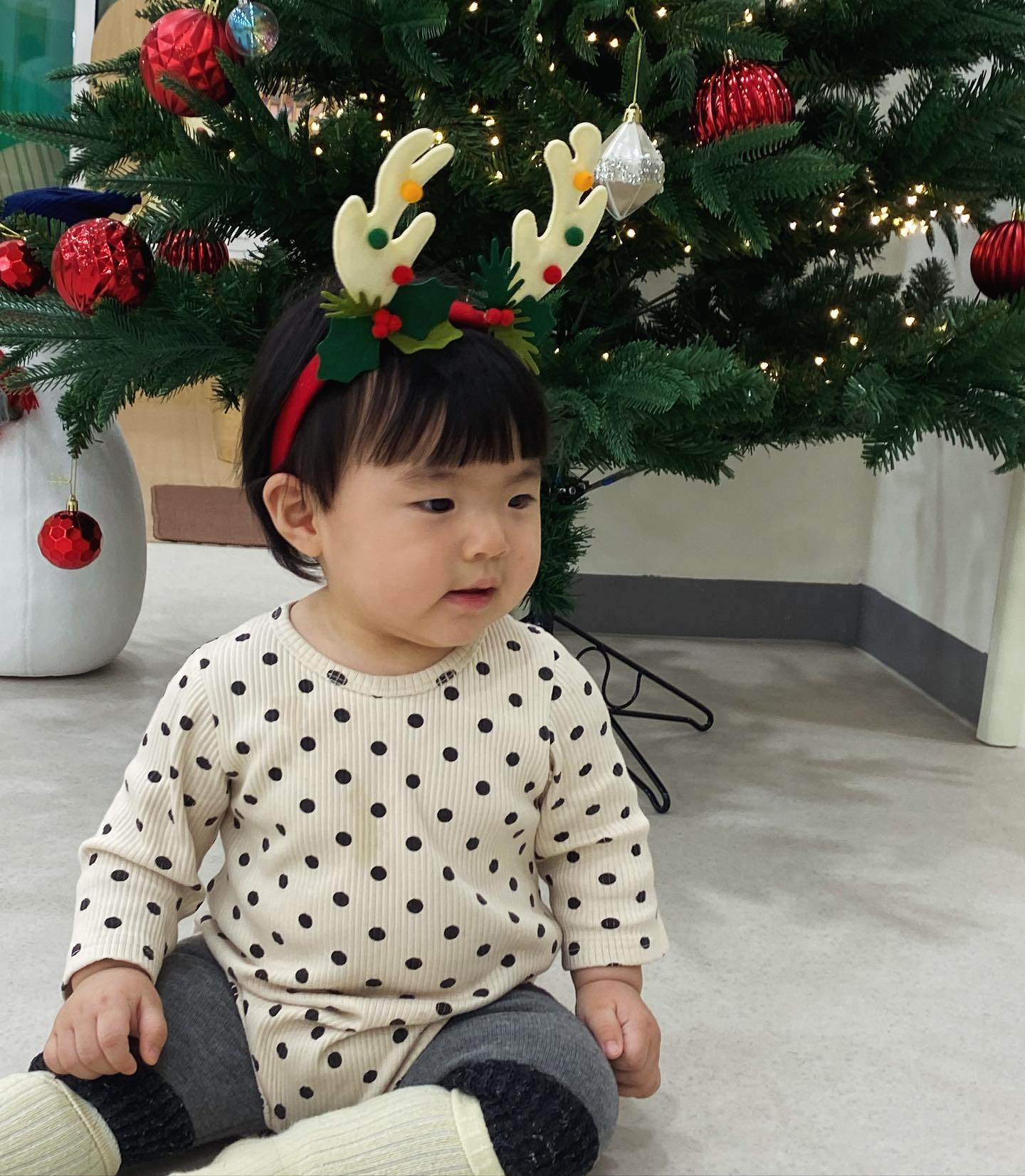 멜크🎄❤️❤️❤️

#주아서아네 #자매맘 #멜크 #두딸맘 #생후11개웡 #11개월아기 #딸맘 #딸스타그램 #아기와일상 #아기루돌프🦌 #귀여워죽겠네 #성장기록 #육아일기 #육아맘 #육아일상 #딸바보 #도치맘🦔