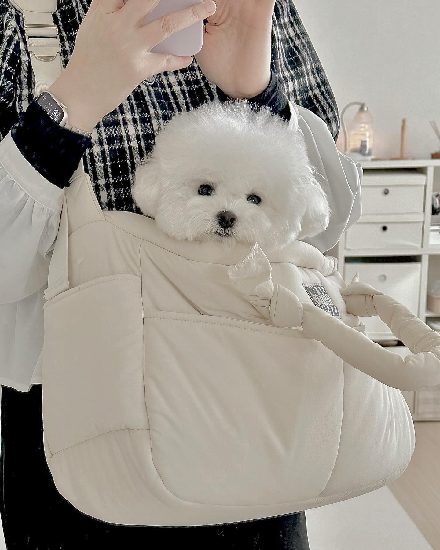 가방갱얼지 이보송🐻‍❄️
그리고 하루도 안빠지고 거의 매일 사용하는 멜로우백🤍