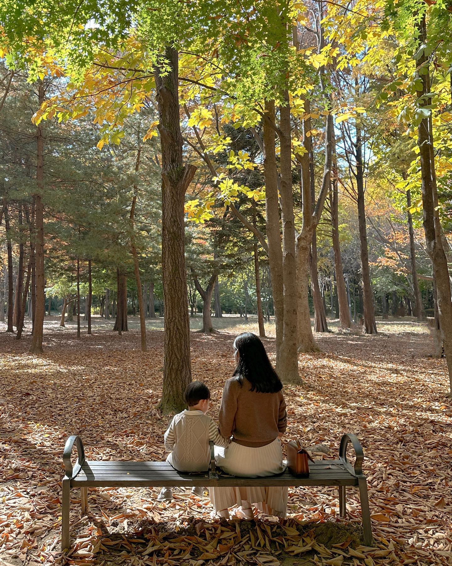 너와 함께하는 세 번째 가을🍂

야외로 산책나오면 무조건 뛰고보는 𝟑𝟏개월 아들이랑
같이 사진찍기가 매우 어려워요🙃

평화로운 뒷모습이지만, 
실상은 우유 마시자고 꼬셔서 겨우 엉덩이 붙이고 앉은 찰나-

아무튼 뛰어다니기 바빴고, 
킥보드를 씽씽쌩쌩 타며 스피드를 즐기기 바빴고,
수북이 쌓인 낙엽에 파뭍혀서 뒹굴기 바빴던..
너의 세 번째 가을 기록✍🏼

📍#양재시민의숲 
🗓️ 𝐎𝐜𝐭𝐨𝐛𝐞𝐫 𝟐𝟎𝟐𝟑
📷 𝐢𝐩𝐡𝐨𝐧𝐞 𝟏𝟒𝐩𝐫𝐨_ 𝐩𝐡𝐨𝐭𝐨 𝐛𝐲. 서포토님

#세번째가을 
#아들육아 
#31개월아들 
#🐮또봄31개월