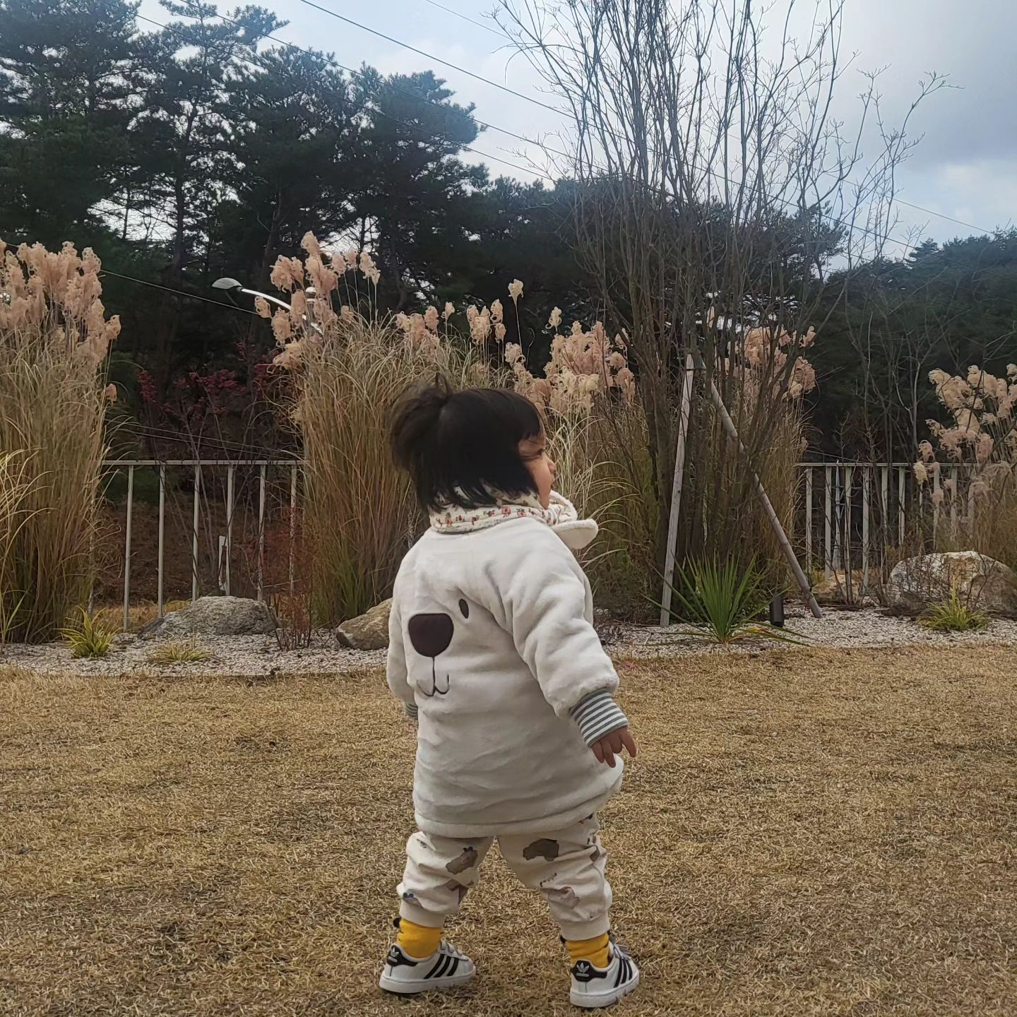 hm_son7