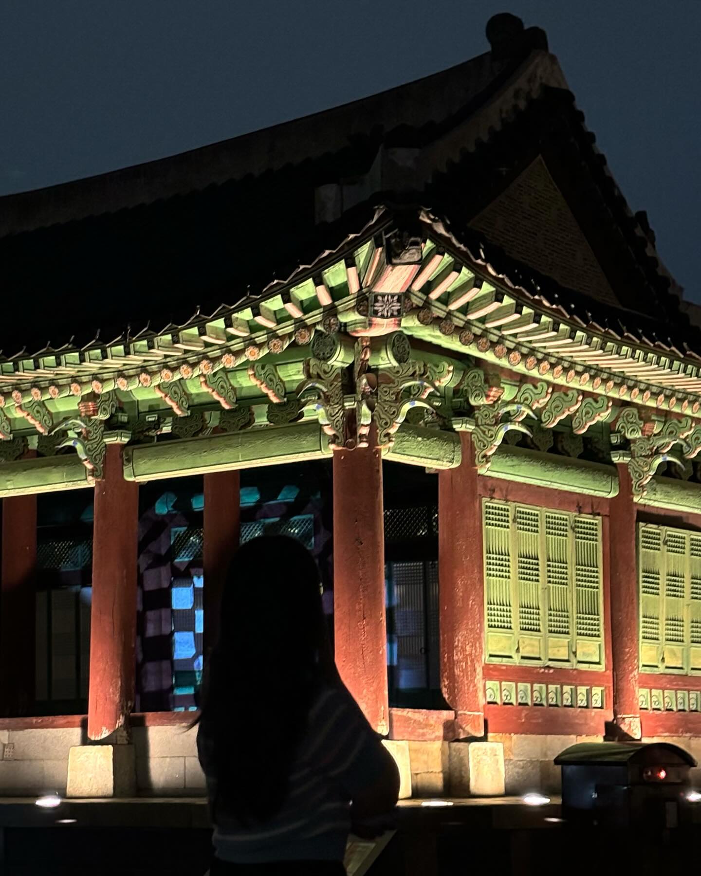 매번와도 매번조아💫

#화성행궁야간개장 #화성행궁