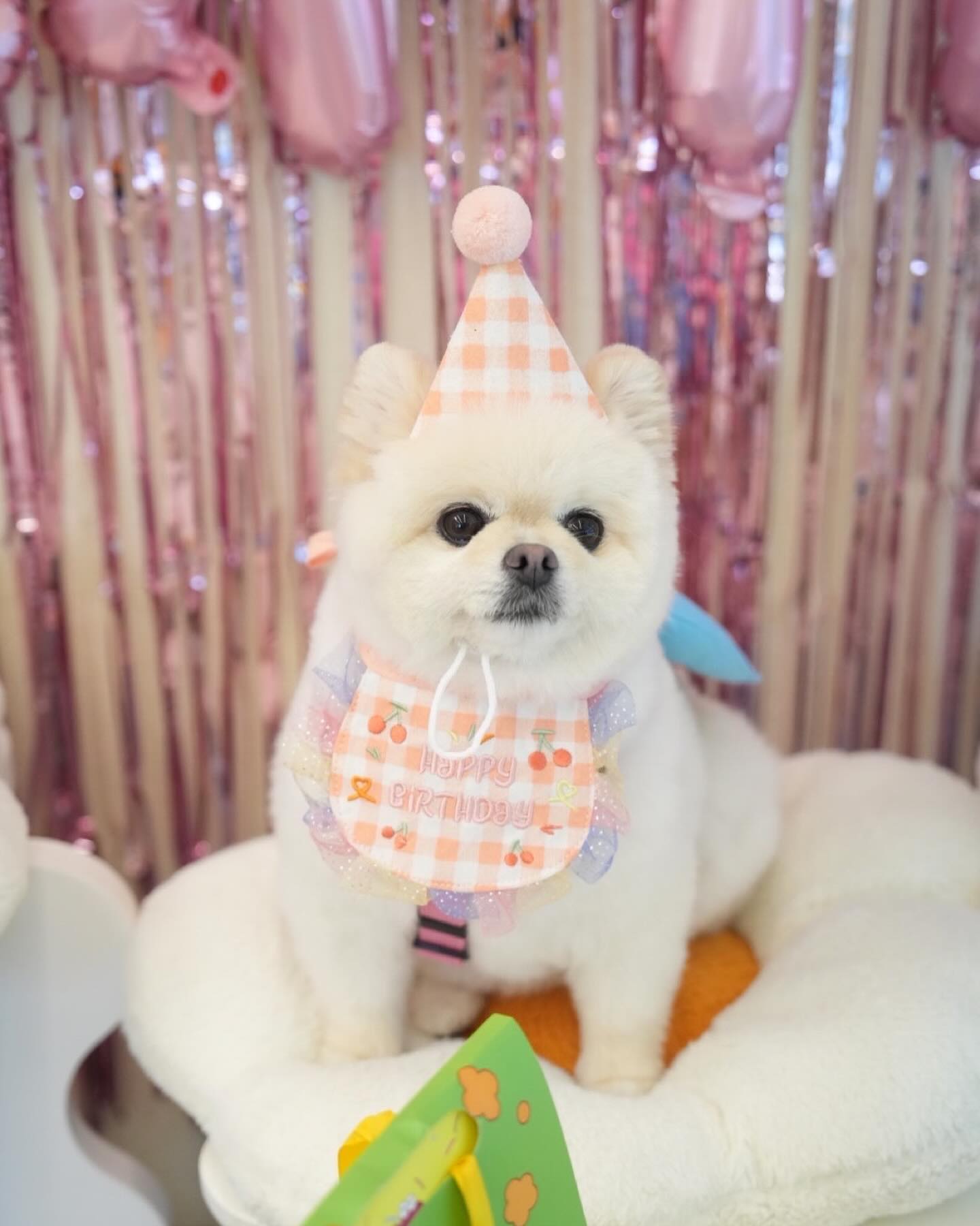 8월 4일 생일🎀🩷 
아빠 엄마한테 와줘서 너무 고마워🐻‍❄️
5살 언니니까 이제 친구들 때리지말자 
사랑해 아가 공주님🤍🩵🩷