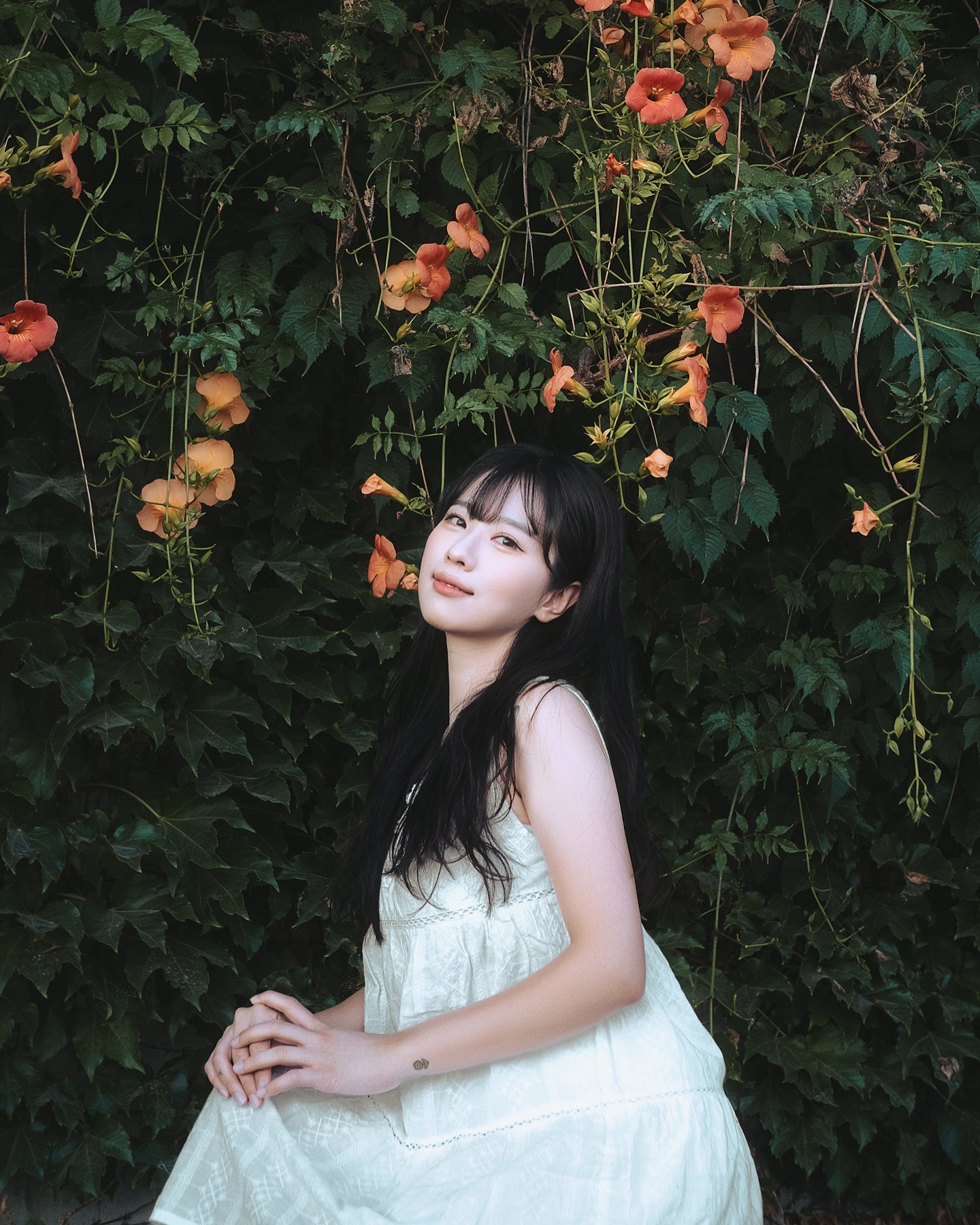 이번 여름 버킷리스트였던 능소화 스냅🌺
비 오기 전에 찍기 성공해땅✨
📷 daran_ms