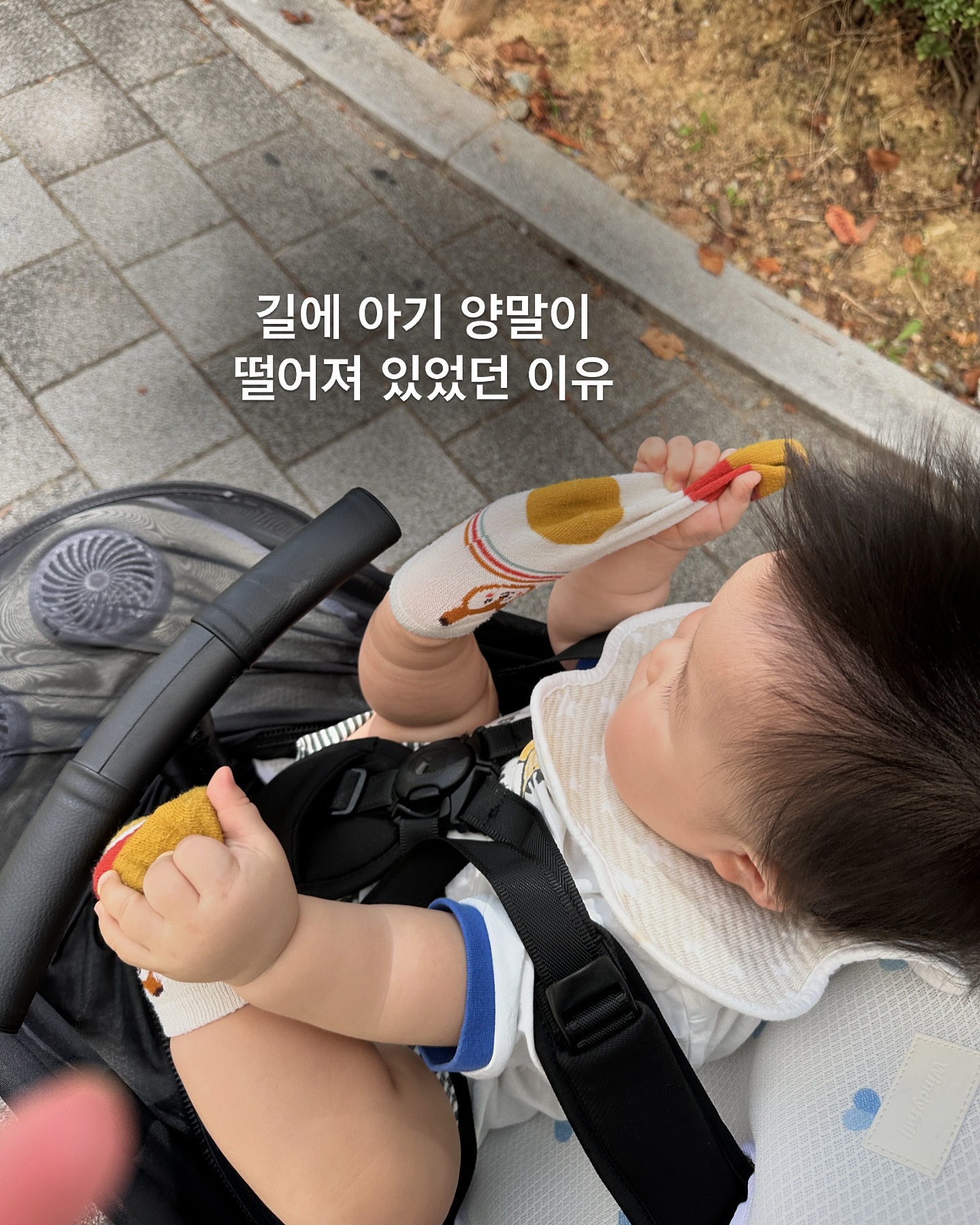 길가다 애기신발이나 양말 또는 인형들이
떨어져 있는걸 본적이 있는데
무슨일인가 했더니ㅋ 
유모차 차양막 밑에서
벌어지고 있는일ㅋㅋ

아기들이 다 떨어뜨린듯..
