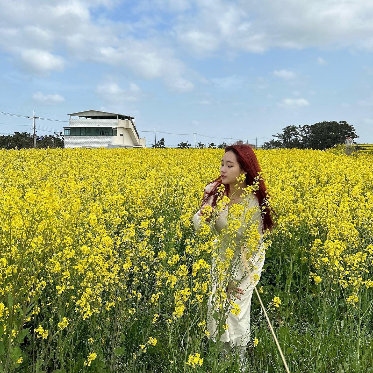 벚꽃말고 유채꽃🌼