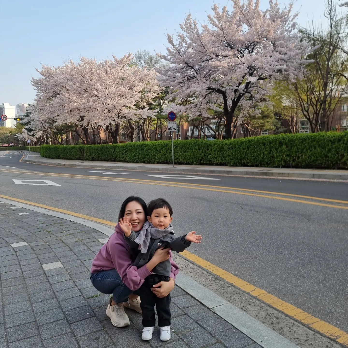 집 앞이 벚꽃길이라 매년 봄마다 보고 있지만, 올해는 단이랑도 보게 되어 또 다른 느낌이었어용
벚꽃 배경으로 가족사진 너무 좋네요🌸
날씨도 좋아 꽃구경하며 놀이터에서 신나게 놀고
씽씽이도 신나게 탔던 주말❤︎ꔛ❜
.
.
꽃구경 간다고 나가다가 핸드폰 떨궈서 액정이 나갔지만😭 그래도 예쁜 사진 건지고 좋은 추억으로 묻으려구요🥲🤫
.
.
#첫째 #788일아기👶🏻 #25갤베베ෆ 
#둘째 #101일아기🍼 #3갤베베ෆ 
#꽃구경 #집앞꽃길 #벚꽃길🌸
#행복한주말 #행복한가족👨‍👩‍👧‍👦 #다들사랑해🩷