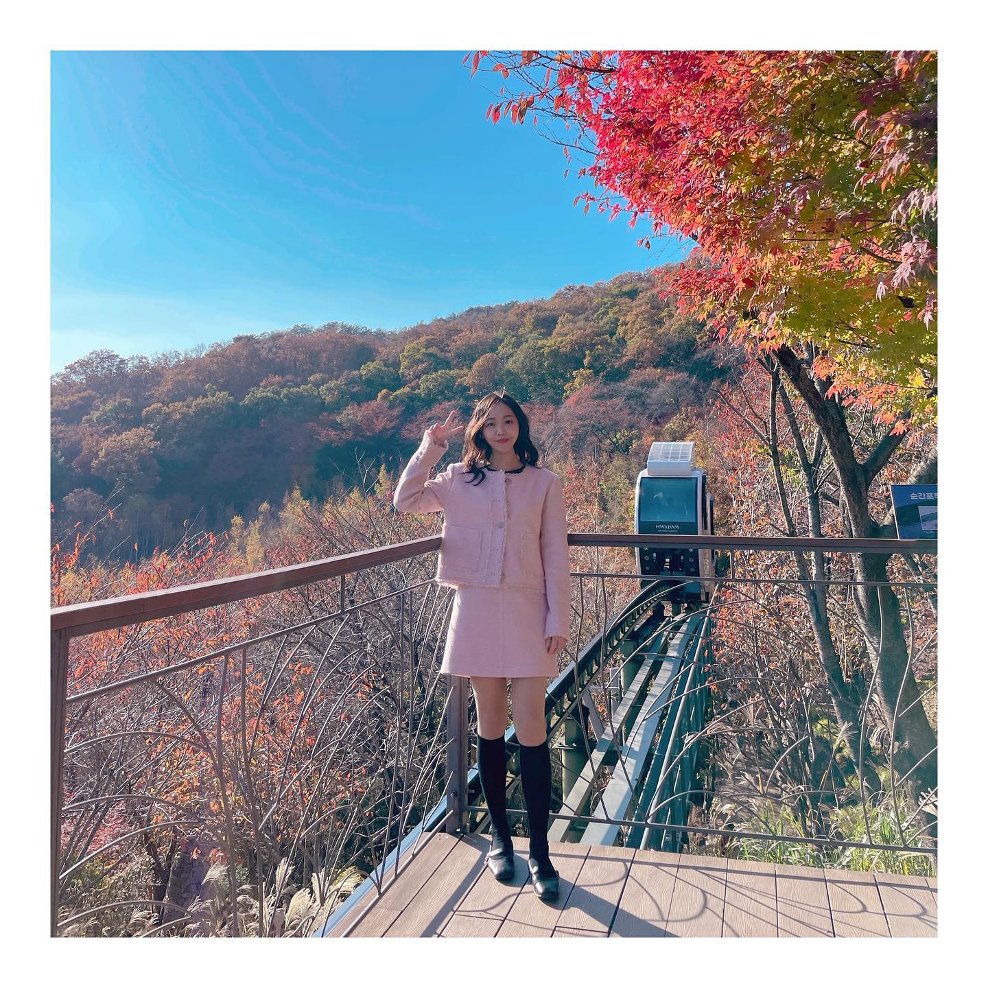 가을엔 화담숲🍁🍂
빨강, 노랑, 주황 알록달록
다채롭게 물들은 화담숲

작년갔을때보다
붉은 단풍은 아직 덜 물들었지만 
올해도 넘 예뻤다 
모노레일 타고 보난 단풍도 최고
모노레일 필수♥
.
.
.
.
.
#화담숲 #화담숲모노레일 #화담숲단풍 #화담숲단풍축제 #단풍명소 #단풍여행🍁 #단풍구경