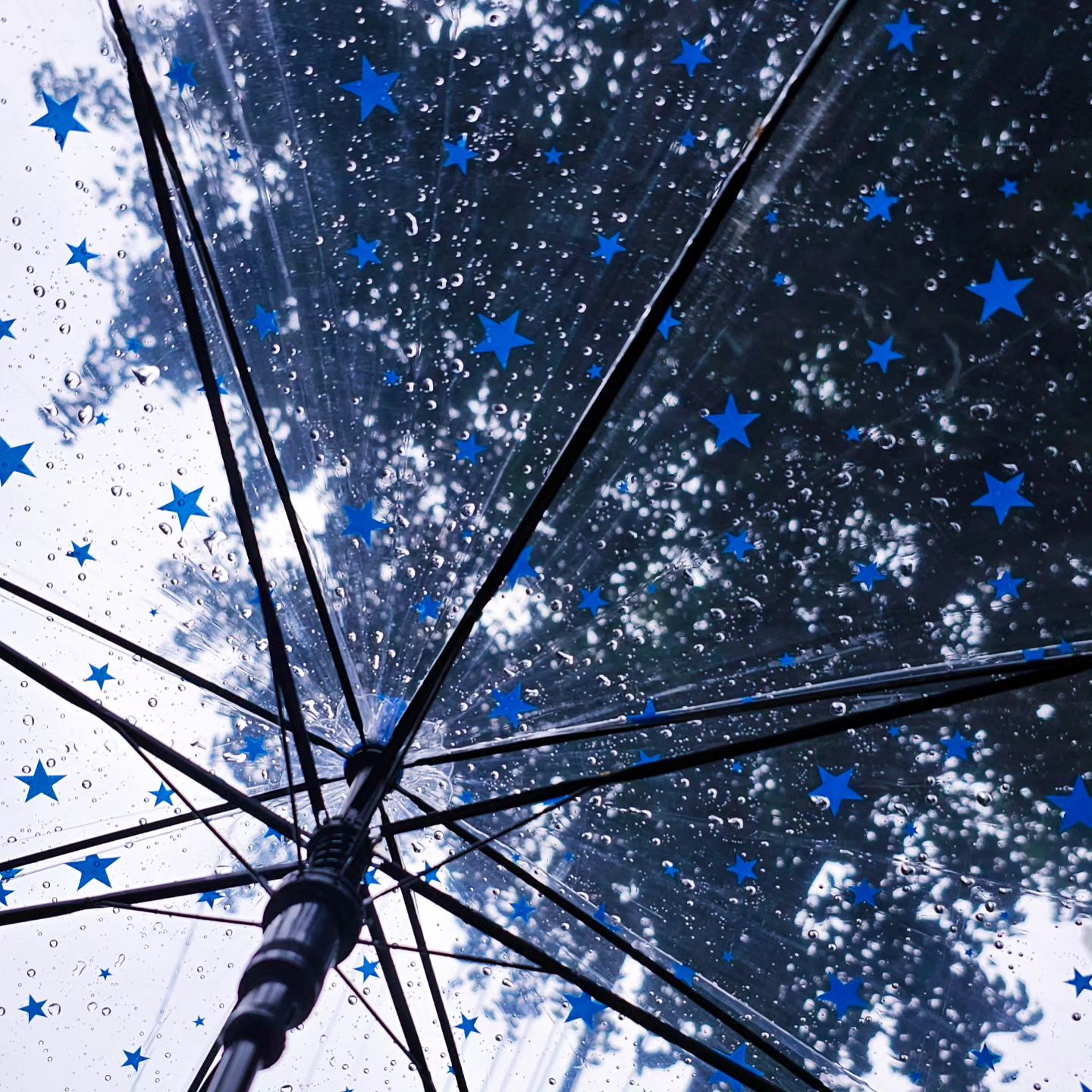 ✨☔✨