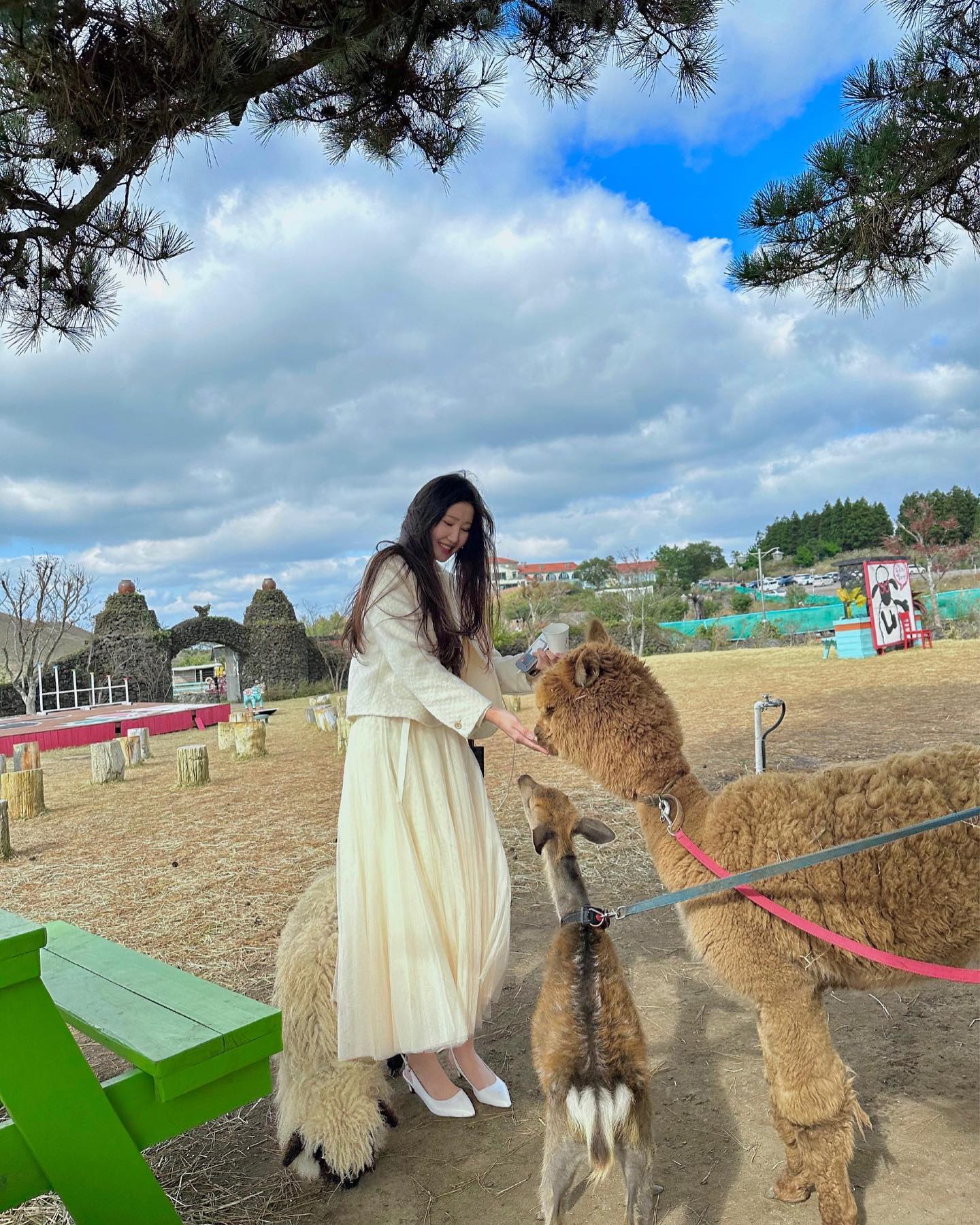 동물농장🦙🦌🐑