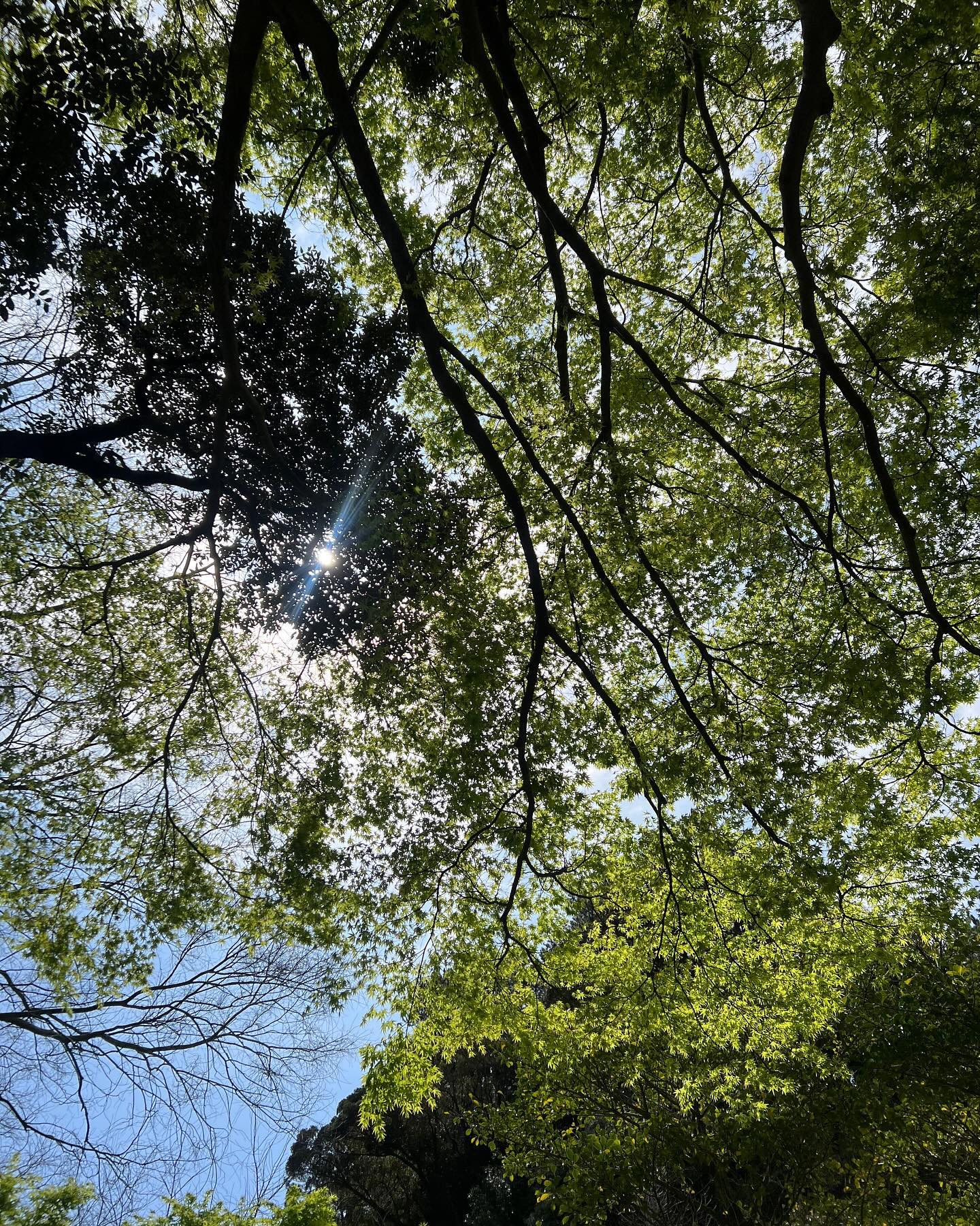 콘텐츠