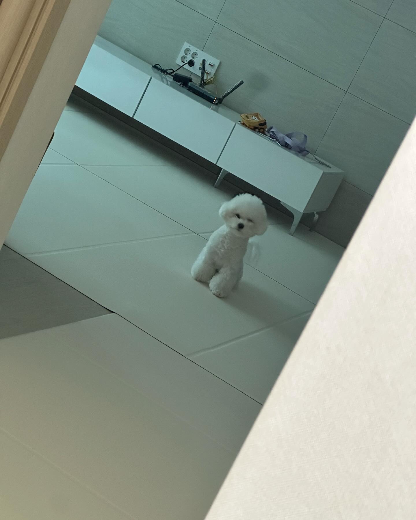 눈도 다 못뜬채 엄마 배웅해주는 딸♥️
이따보쟈🥺