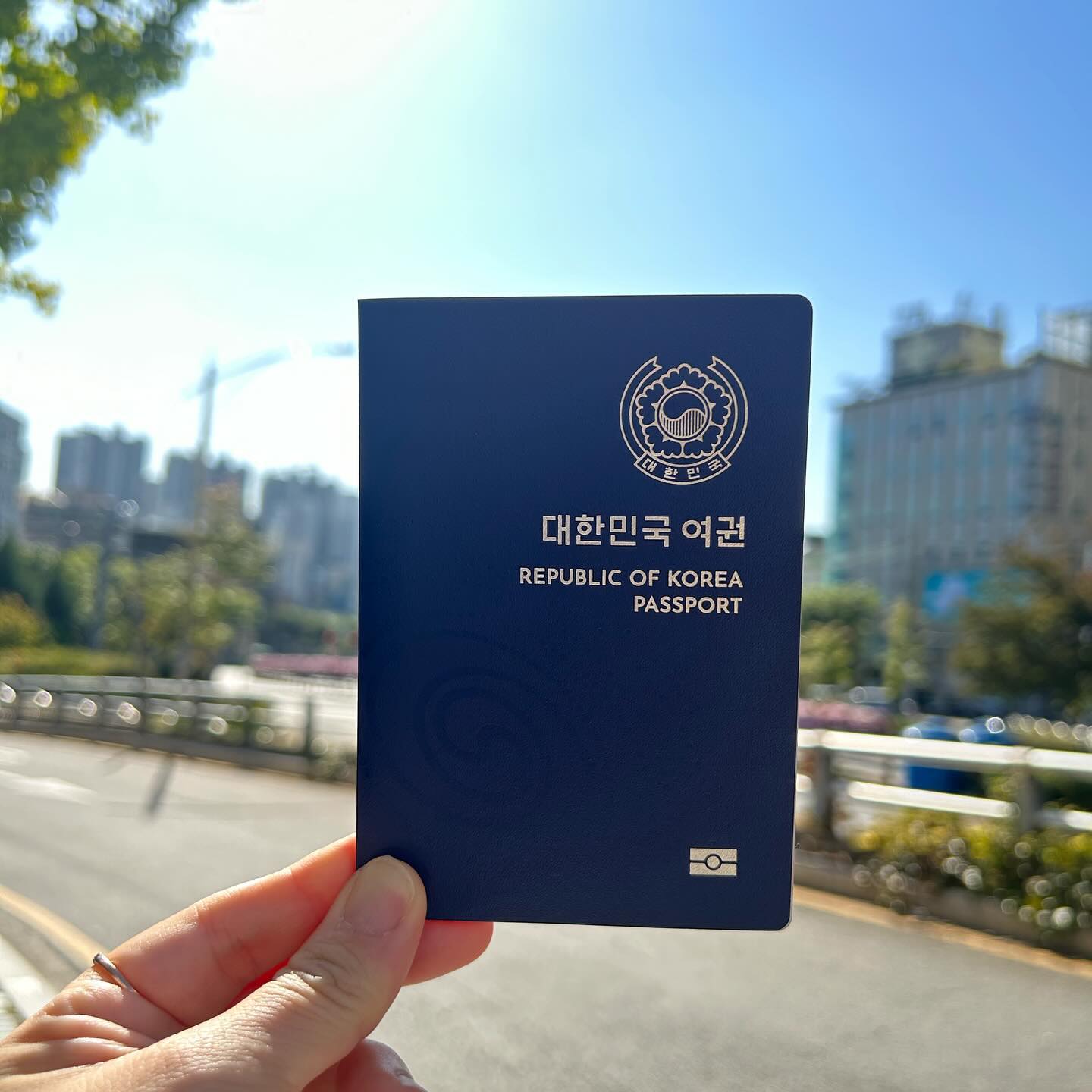 #준비완료
온라인신청했더니 일주일 이상 걸렸다! 

여권사진은 참 많이 아쉽다;; 🤣🤣🤣🤣🤣

일단, 가까운데라도 가볼까나?!😍
.
.
#여권사진망함 #여권발급 #여권온라인신청 #너무오래걸림 
#언제든간다 #이미마음은여행중 #병이또도짐