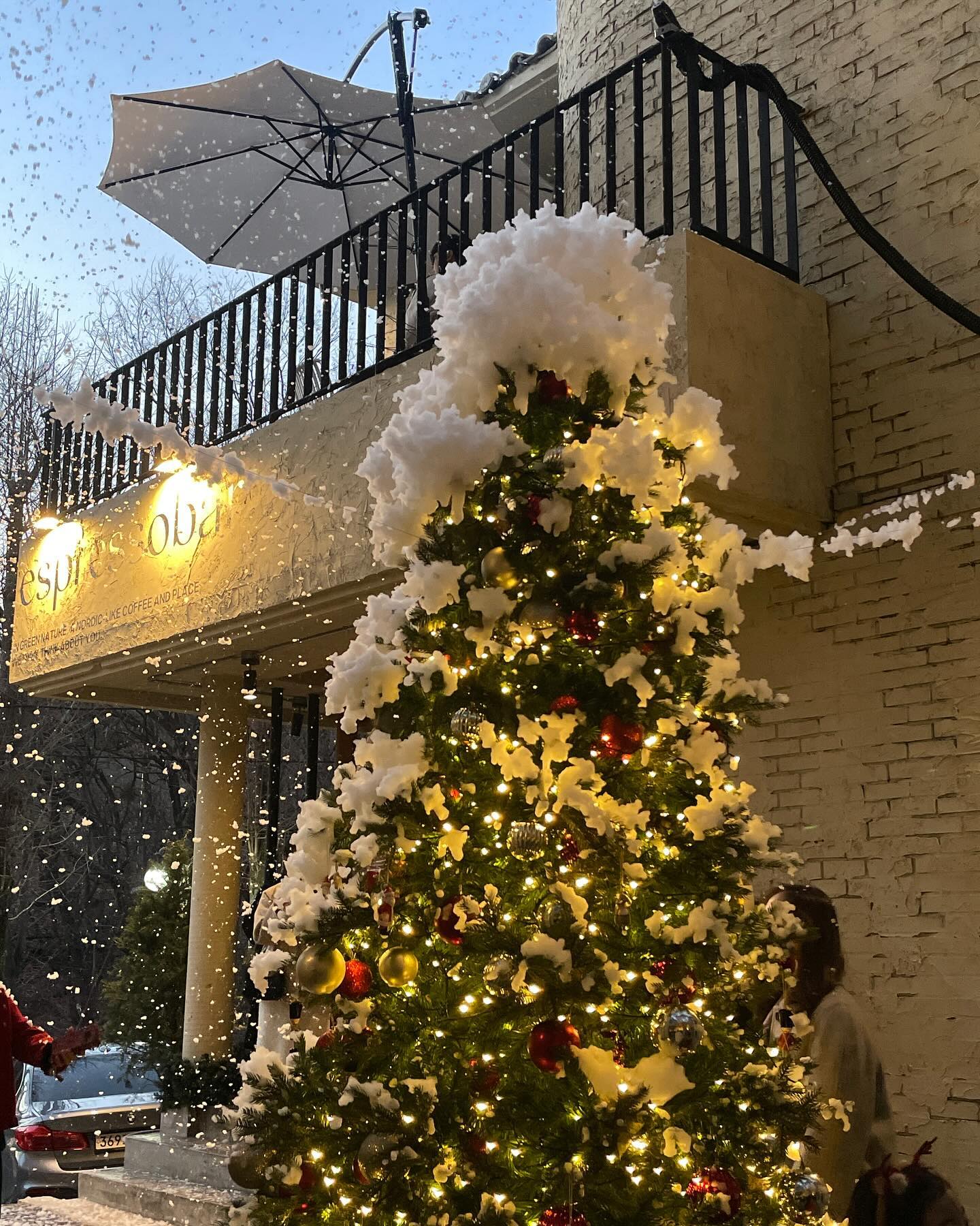 🎄❄️🫧 ~ ~~~
