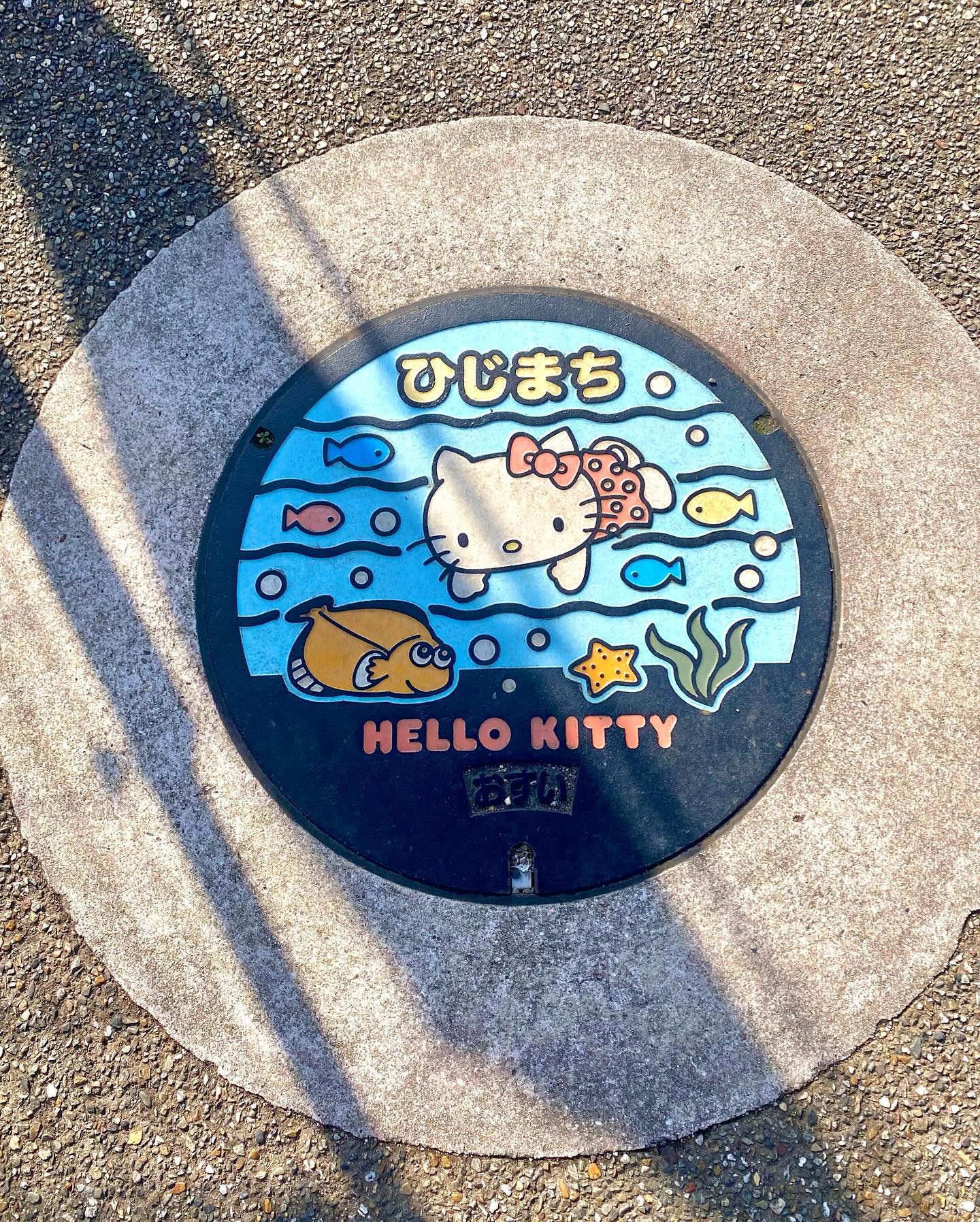 멧챠 기여운 키티세상🩵