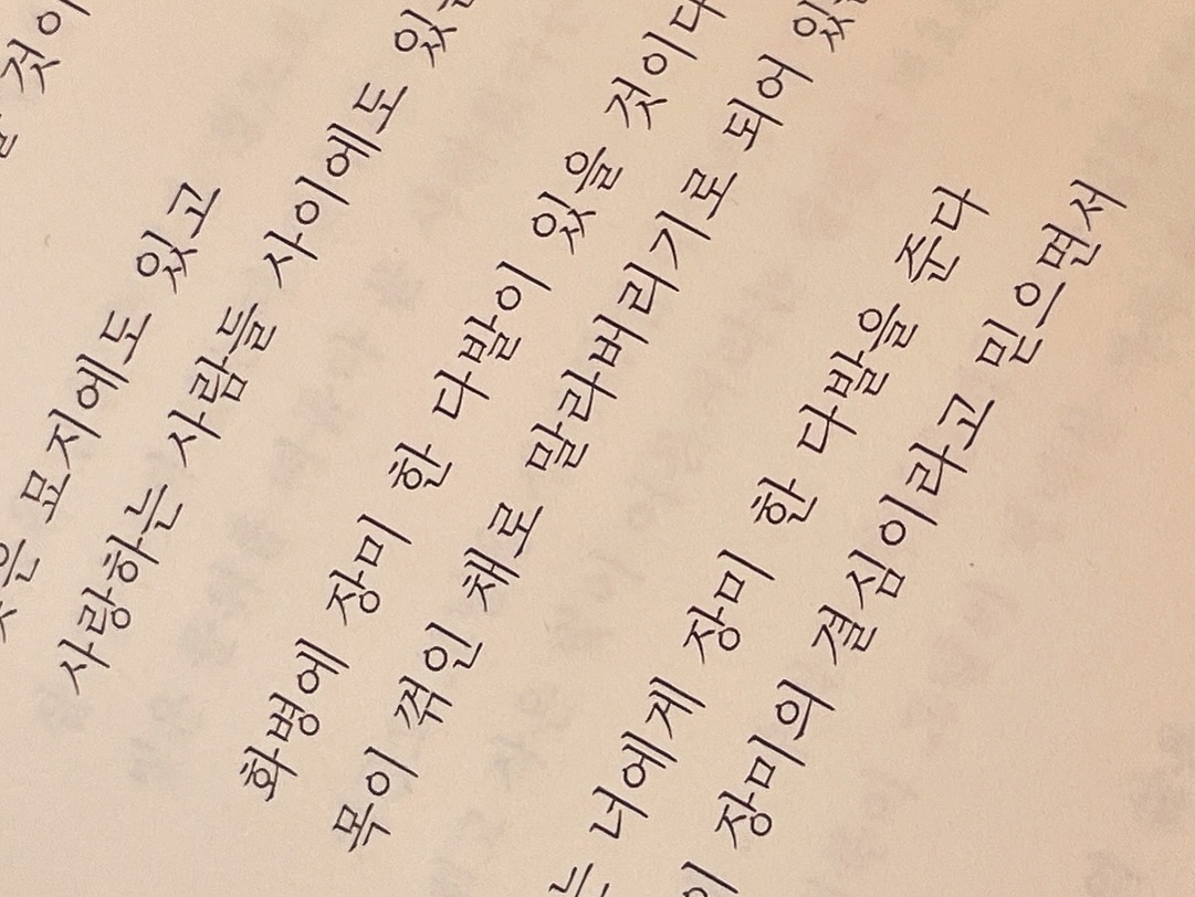 사랑의 만취핑