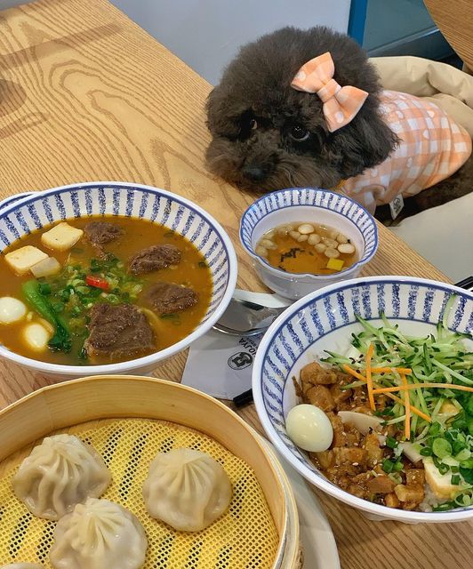 귀요워서 요미 on Instagram: "#광고

요미 대만을 느끼고 왔지욤🇹🇼

동대문에 새로 오픈한 대만퓨전식당 '더호쟈‘에 다녀왔어🤍
이렇게 깔끔할 수 있나 싶게 깔끔해~
테이블마다 살균되는 수저통이 비치되어있는데 
수저가 반짝반짝하게 담겨있어서 깜놀✨
준비가 철저한 곳인 것 같아서 주문하기 전부터 설레이더라구~~
주문은 스마트하게 테이블마다 설치된 태블릿으로 할 수 있고
여성 고객들을 위한 머리끈도 비치되어있어~ 사장님 센스 대박이예요!

글고 뭐니뭐니해도 맛!
딤섬도 삼겹덮밥도 다 맛있었지만
우육면이 진짜 예술이야~ 고기미쳤어....녹아녹아
기본육수 맛보고 굿! 사장님 특제 양념 섞어 맛봤더니 뀰맛🤪
꽃보다할배보고 다녀온 대만의 추억이 물씬 물씬나더라구
1인 1메뉴 주문하면 면도 밥도 무한리필되~
옥수수면으로 리필했는데 기본면이 쫄깃해서 요미는 기본으로 추천!

요미는 여태까지 많은 식당을 다녀봤지만
이렇게 친절한 곳은 처음이었어
요미를 넘넘 이뻐해주셔서 기분좋았다개😆

#동반했지욤 #더호쟈"