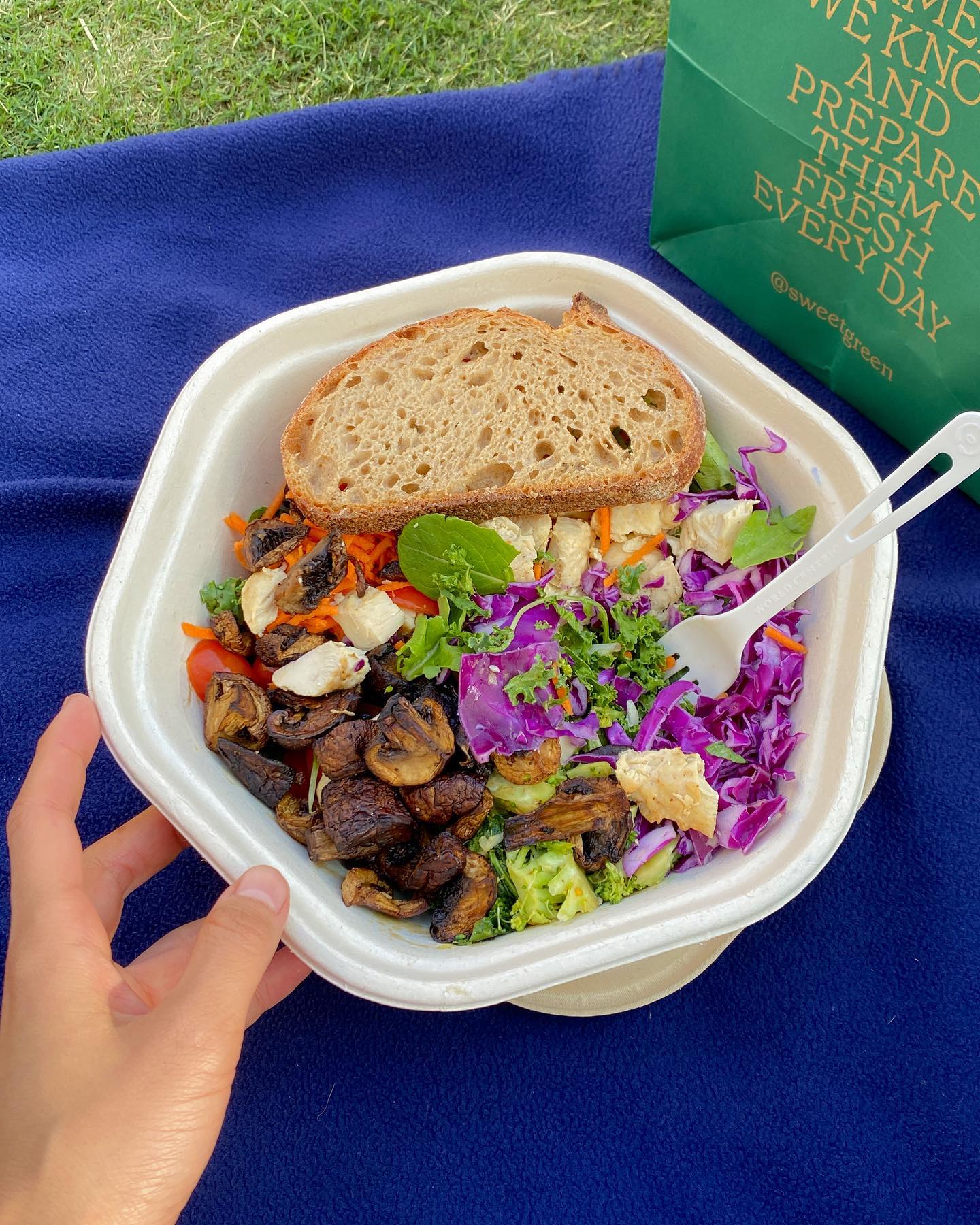 저 또 #sweetgreen 간 썰 풉니다🫶🏻
여긴 지금 LA이고요🇺🇸 이거(=샐러드) 먹으러 또 왔어요. 역시는 역시… 또 먹어도 계속 맛있네🤤 스윗그린 한국 넘어와 주세요!!!

도시 분위기가 뉴욕보다 제 스타일이라 너무 좋은 로스앤젤레스🫶🏻 
야자수 나무들을 볼 때마다 이게 진짜 미서부지!! 느껴져서 거리 곳곳이 너무 예뻐요🌴

LA 오고 싶었던 이유가 #길모어걸스 딱 하나였거든요ㅋㅋㅋ 도착하자마자 #워너브로스스튜디오 가서 힐링 잔뜩🫧 모니카 집도 가고! 센트럴파크 카페도 가고!! 해리포터 기숙사 배정 그리핀도르 받았어요!!! 😆

오늘은 #유니버셜스튜디오할리우드 에서 맘 속 깊은 곳에 있던 어린아이 분출하면서 호그와트, 스프링필드, 닌텐도월드 등 열심히 돌아다니고요🎠🎈(드디어 절 좋아해주는 남자를 발견했어요=심슨 ㅋㅋㅋㅋㅋㅋㅋ)

LA가 특히 치안 문제가 심하다고 해서 걱정했는데 아직 대중교통, 걸어서 잘 다니는 중이에요 ㅎㅎ 그래도 조심해서 나쁠건 없으니까 저녁은 마트에서 이것저것 사서 숙소에서 해결하는 중! 🙂 

저 요거 두개만 보고 와서 다른 거 하나도 안 찾아봤거든요? 내일 뭐할지 어서 생각해 봐야 겠어요ㅋㅋㅋㅋ 나 점점 p 되는 것 같아...😜 
모두들 좋은 주말 보내세요💛💛