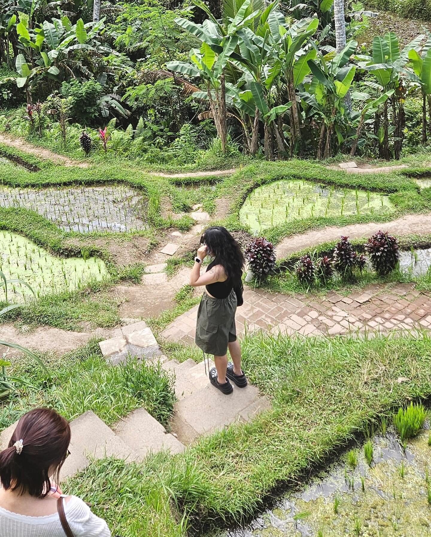 Maze. 🕸️