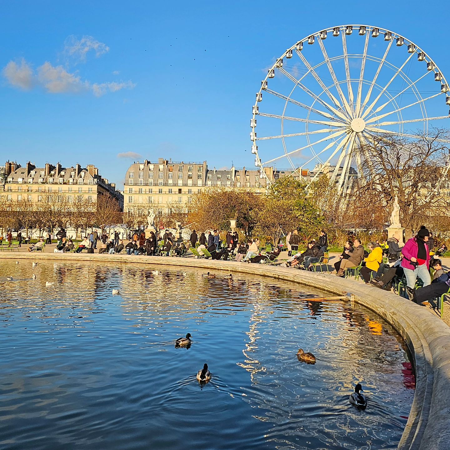 FRANCE PARIS 🇫🇷
일곱번째 기록
⠀
날씨가 너무 좋아서 공원가서 산책하자고 했다가
⠀
어느새 크리스마스마켓 안에 있는
가장 높고 가장 빠른 놀이기구에 타있었다
시속 120, 높이 60미터에서 거꾸로 바라본 파리는 추웠다 🥶
저 영상안에 내가 타고있음
놀이기구 타고 내려오자마자 외국인들이 괜찮냐고 여러번 물어봤던..
⠀
⠀
⠀
⠀
⠀
#특파원우여사_프랑스 #파리여행 #프랑스여행 #paris #France #travelphotography #travelling #traveler #travel 
#tuileriesgarden #amusementpark #garden