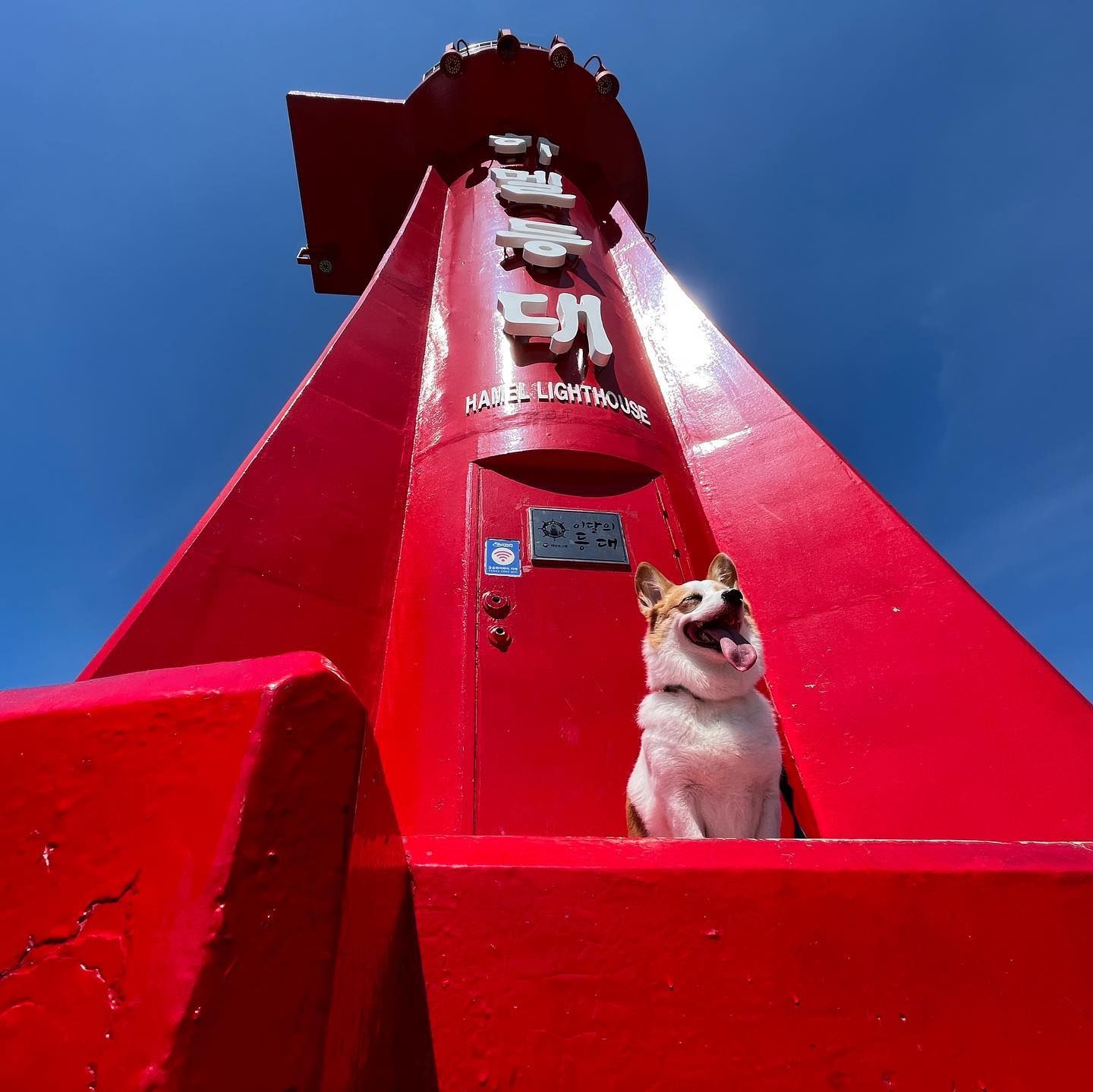 1년만에 다시 찾은 여수 하멜등대💡🏠 다오니와 함께 찰!칵!📸

Daon the Lighthouse Corgi 🥰🐶

.
.
.

#웰시코기#웰시코기다온#코기그램#멍스타그램#펫스타그램#개스타그램#반려견#하멜등대
#daonthecorgi #dogsofinstagram #corgicommunity #corgination #corgisofinstagram #hugcorgi #daily #corgi  #dogoftheday #barked #doggo #myfavcorgi #yeosu #lighthouse