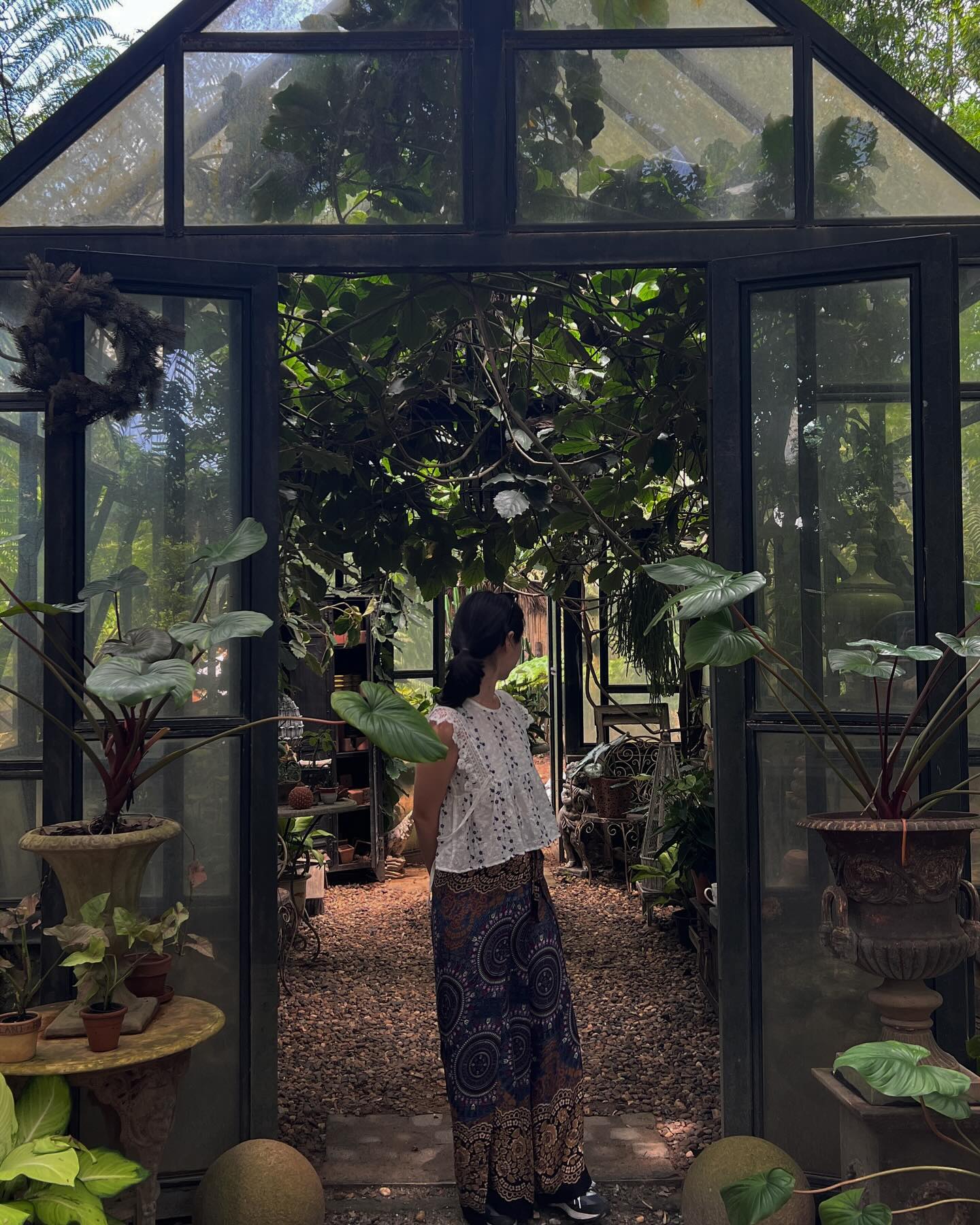 #Thailand#Chiangmai#Theironwood#Monjam