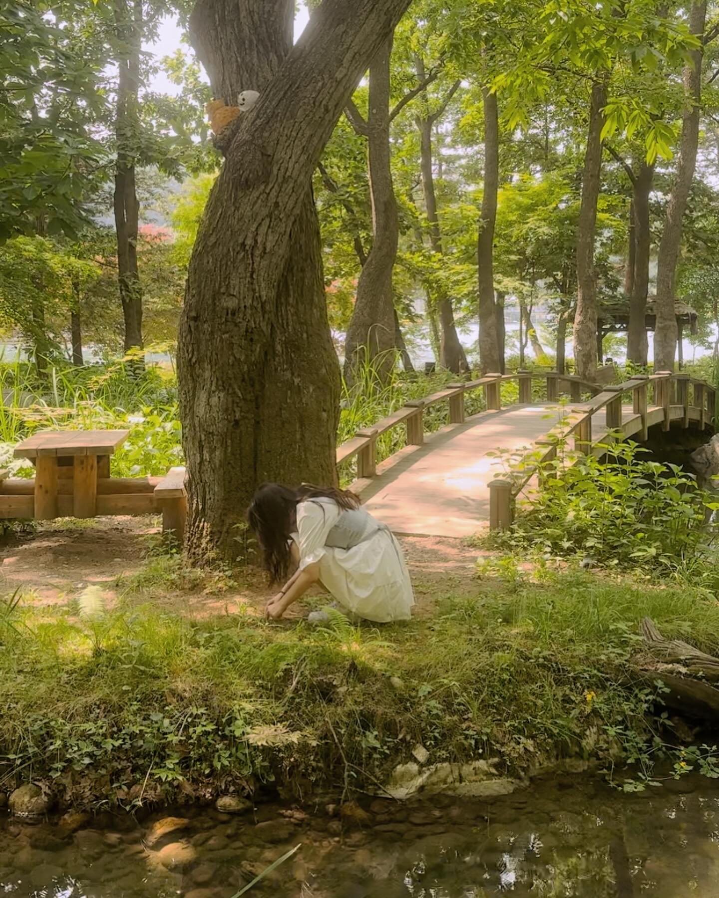 콘텐츠