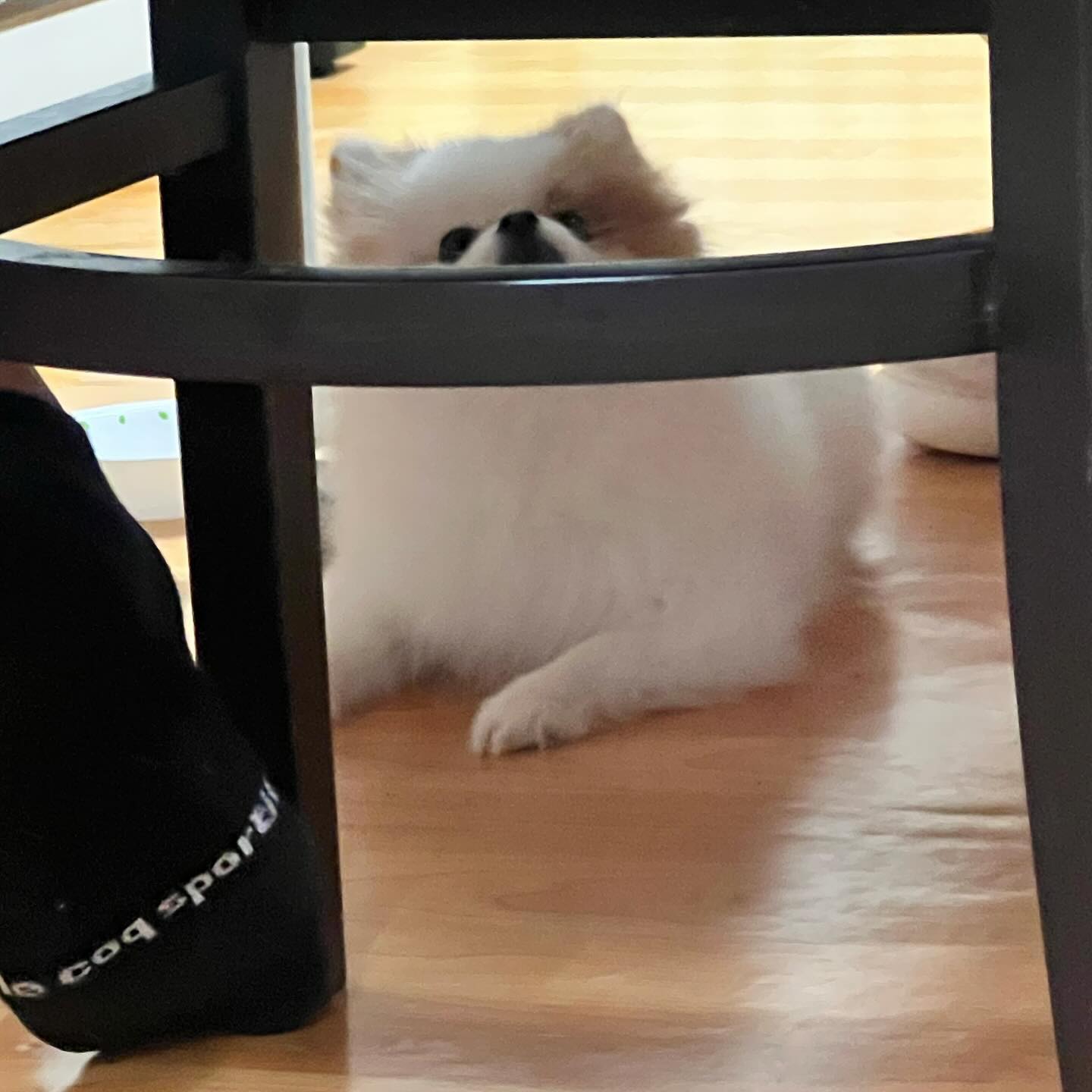 ⠀
아빠 뭐라고하는거에요? 궁금