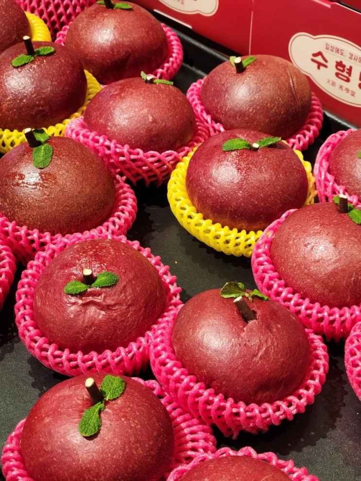 [대구] 사과빵 맛있는곳 대구 신세계 백화점 빵집 수형당 🍞