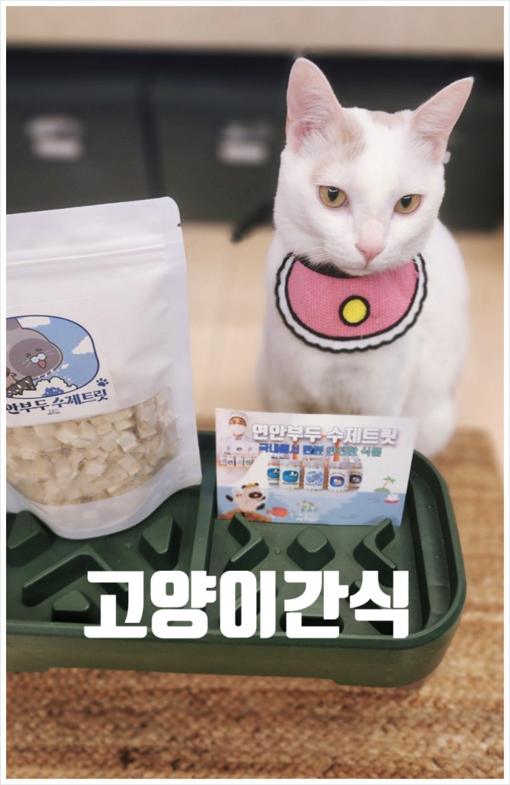 동결건조 고양이간식 추천 신선한 연안부두 북어트릿