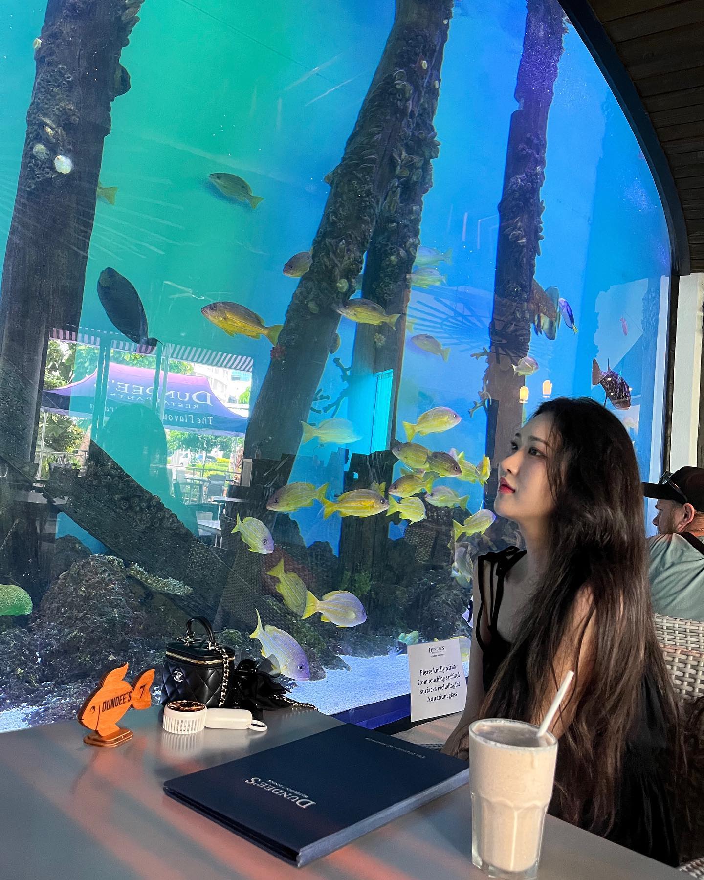 모든게 완벽했던 케언즈💗🏝️

날씨이며 음식이며 진짜 모든게 너무나 이상적이였던 케언즈

해파리때문에 아직도 온몸이 고생이지만,, 

너무너무 예뻐서 행복했던 4일이였ㄷ ㅏ🫧💗
