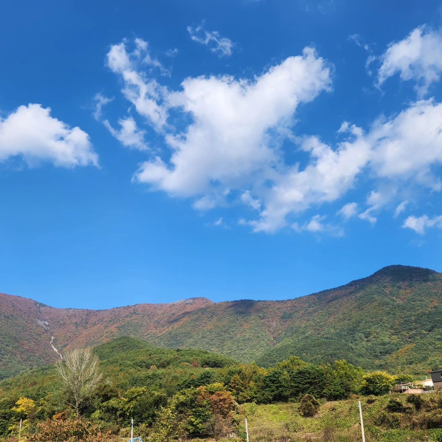 #영남알프스 #울주나들이 #가지산
난 등산은 안하지... ㅎㅎ
#리틀티가든 #2층뷰 #다과 #풀리프티
#티타임 즐기고 #블렌딩티 도 사옴😊
#힐링 #풍경 #가을나들이 #울주여행
#주말데이트 #주말스타그램