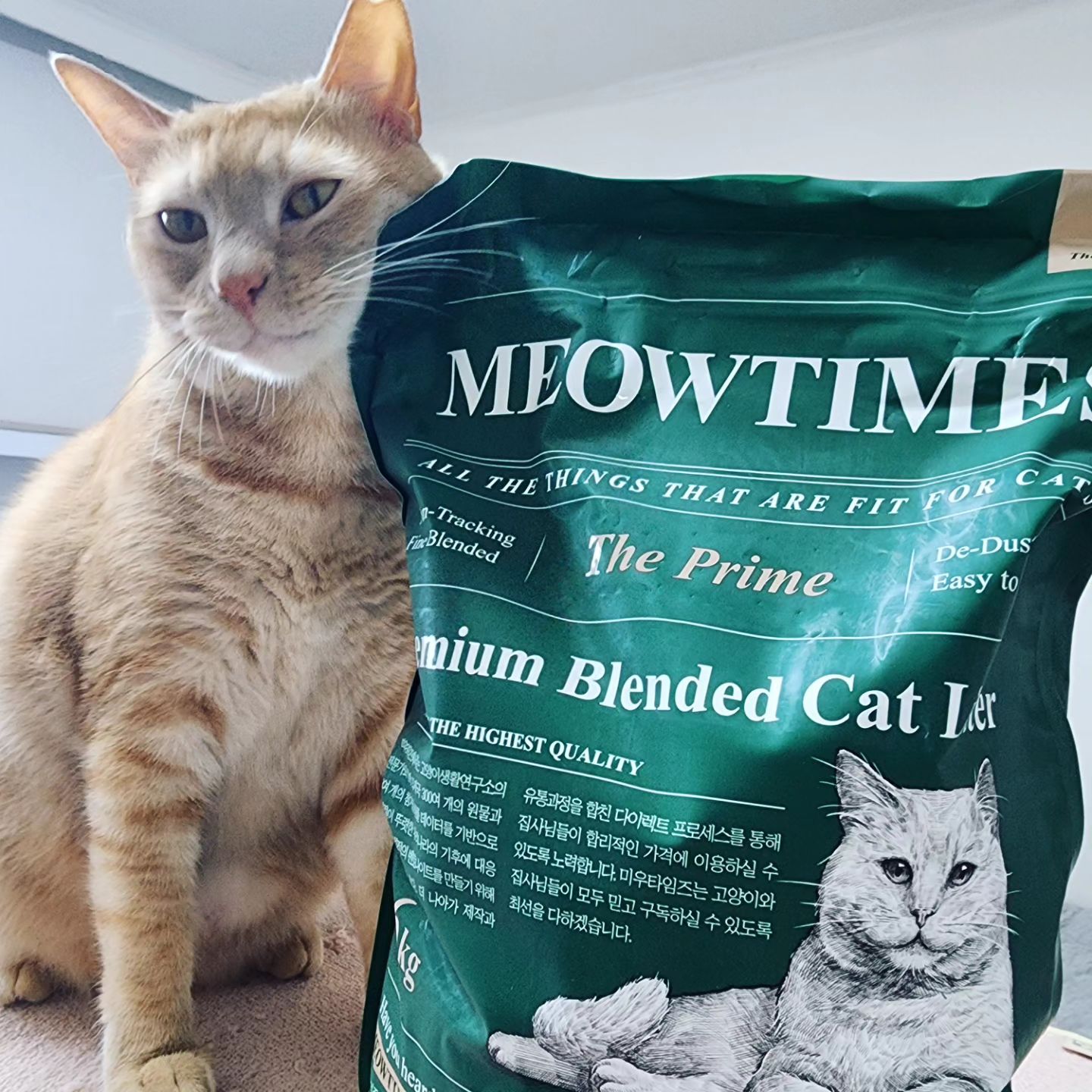 #할인구매meowtimes_official #안내링크통해서 #미우타임즈

✔️먼지최소화
✔️미세입자
✔️강력한응고
✔️뛰어난기호성
✔️탈취력
✔️천연제올라이트
✔️활성탄
 

 
 

#더프라임 #구독 #첫구독시0원 #와이오밍 #구독권 #링크입력 #고양이모래 #meowtimes #theprime #먼지최소화 #벤토나이트 #미세입자 #뛰어난기호성 #강력한응고 #탈취력 #천연제올라이트 #활성탄 #cat #catstagram #냥스타그램 #고양이모델 #모델 #심바 #simba #일상 #소통 #좋아요 🐱