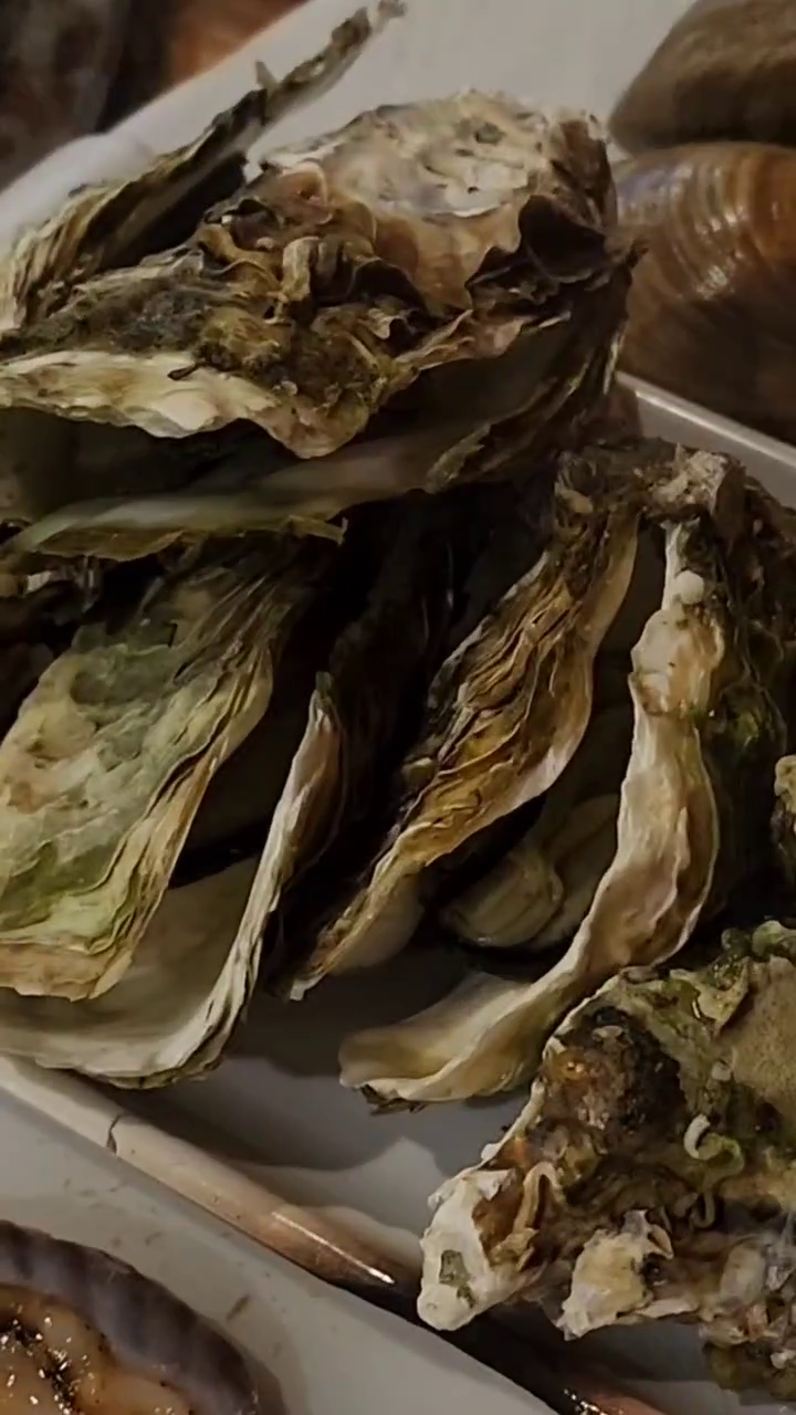 부천 무한리필 조개구이 맛집 
#무한조개따조 

중동역과 부천역 사이에 있어요. 
5시 오픈이라 맞춰 갔는데 
이제 막 오픈 준비하더라고요. 

조개를 손질해서 모둠 접시로 제공해요. 
전 개인적으로 조개찜을 먹어 보고 싶었어요. 
조개구이는 은근 짜더라고요.