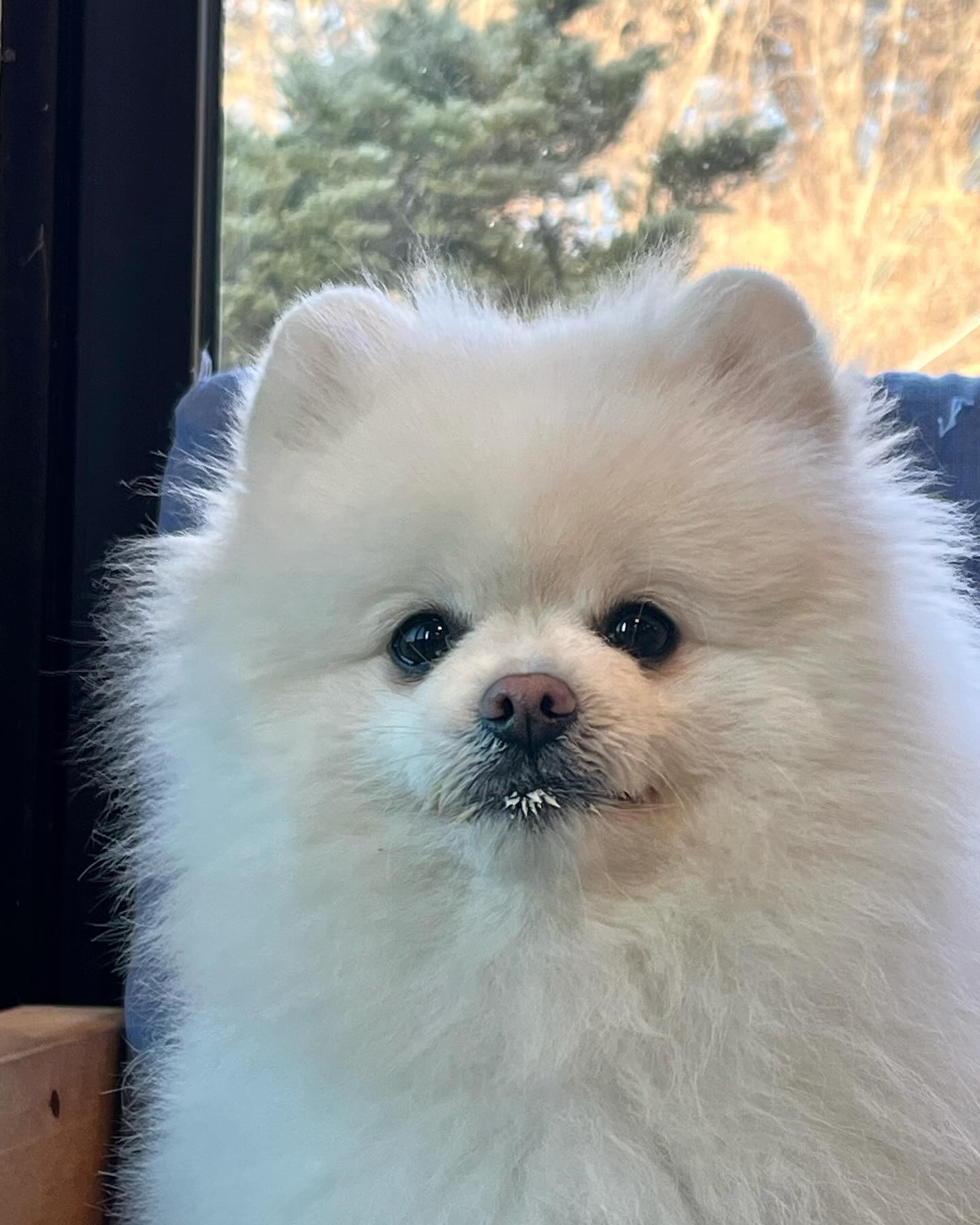 🍼💗