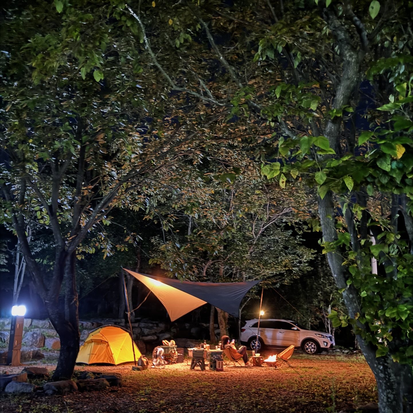 .
한달만 지나면 이제 바깥세팅 못하겠지요 🍂
더위 가신건 너무 좋지만
벌써 추워지기 시작하니 아쉽고만요 ,,