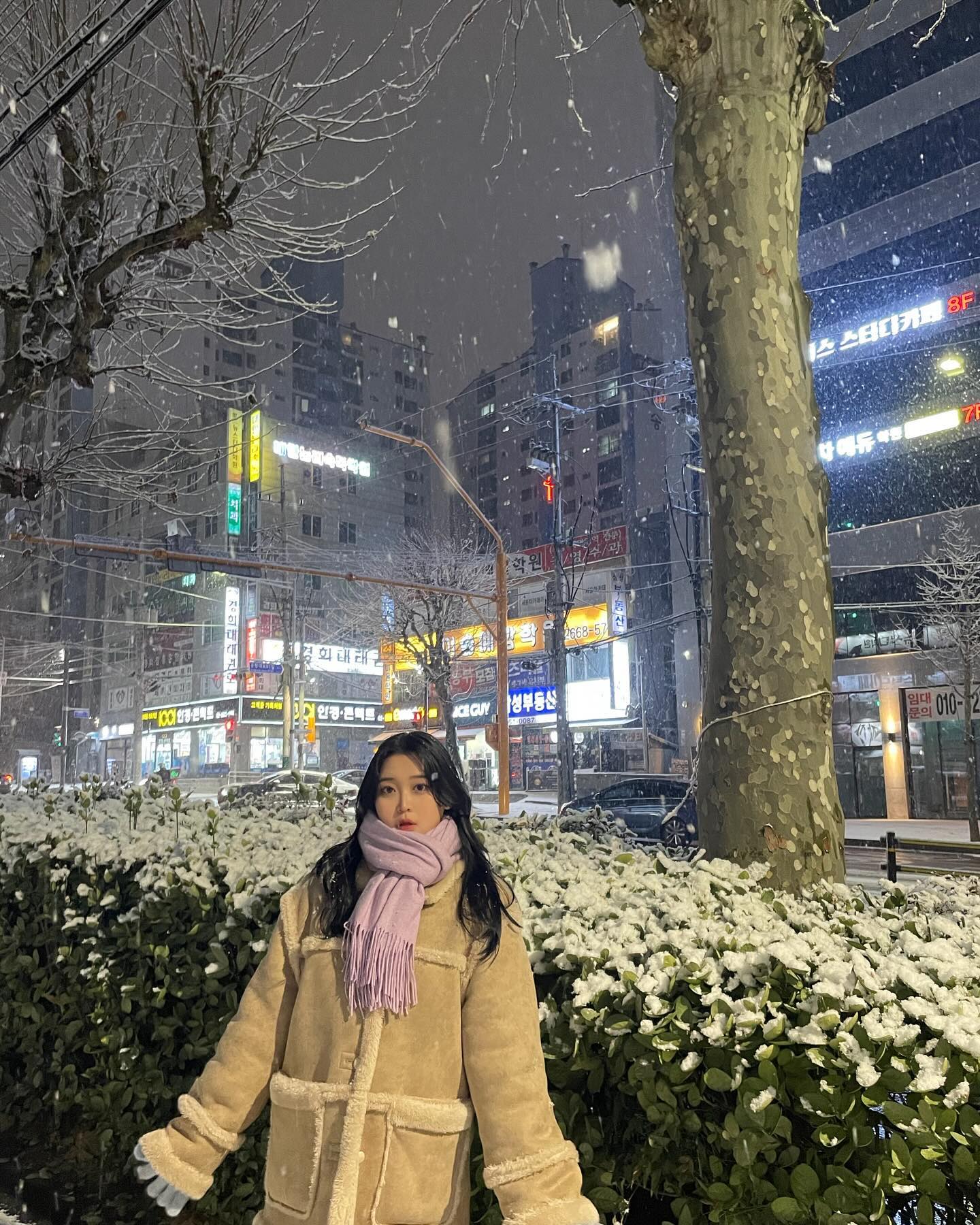 눈 펑펑 서울도 이제 마지막🥹❄️