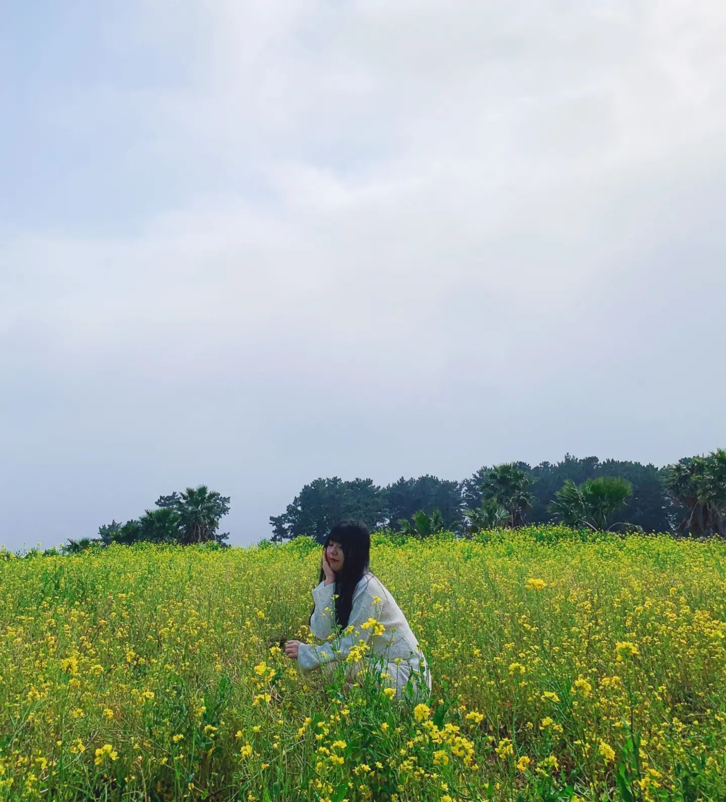 💐
봄이 오기전에 유채꽃 봤으니까

봄 되면 벚꽃보고
여름되면 수국봐야지~

그나저나 날씨 왜 
따뜻했다 추웠다 
그러는거야 ㅜㅜ
.
.
.
.
.
#유채꽃